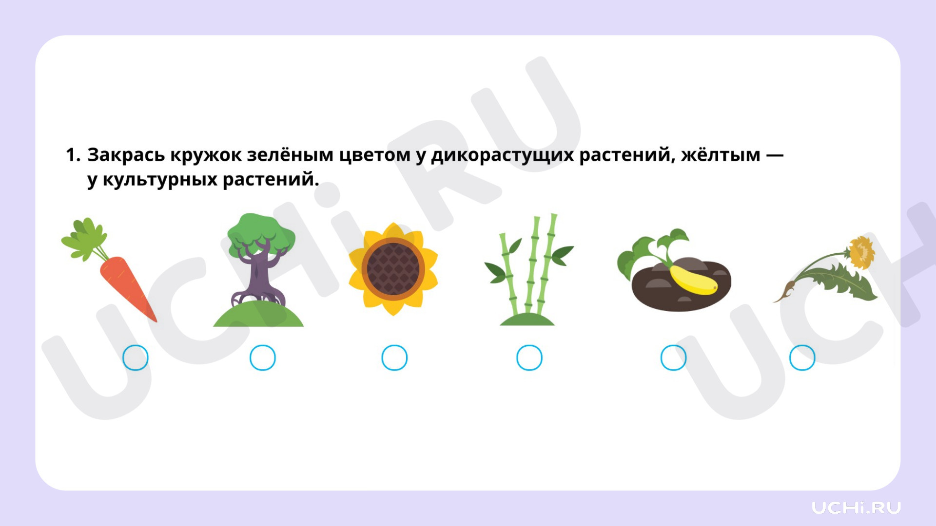 Окружающий мир для 1 четверти 1 класса. ЭОР | Подготовка к уроку от Учи.ру