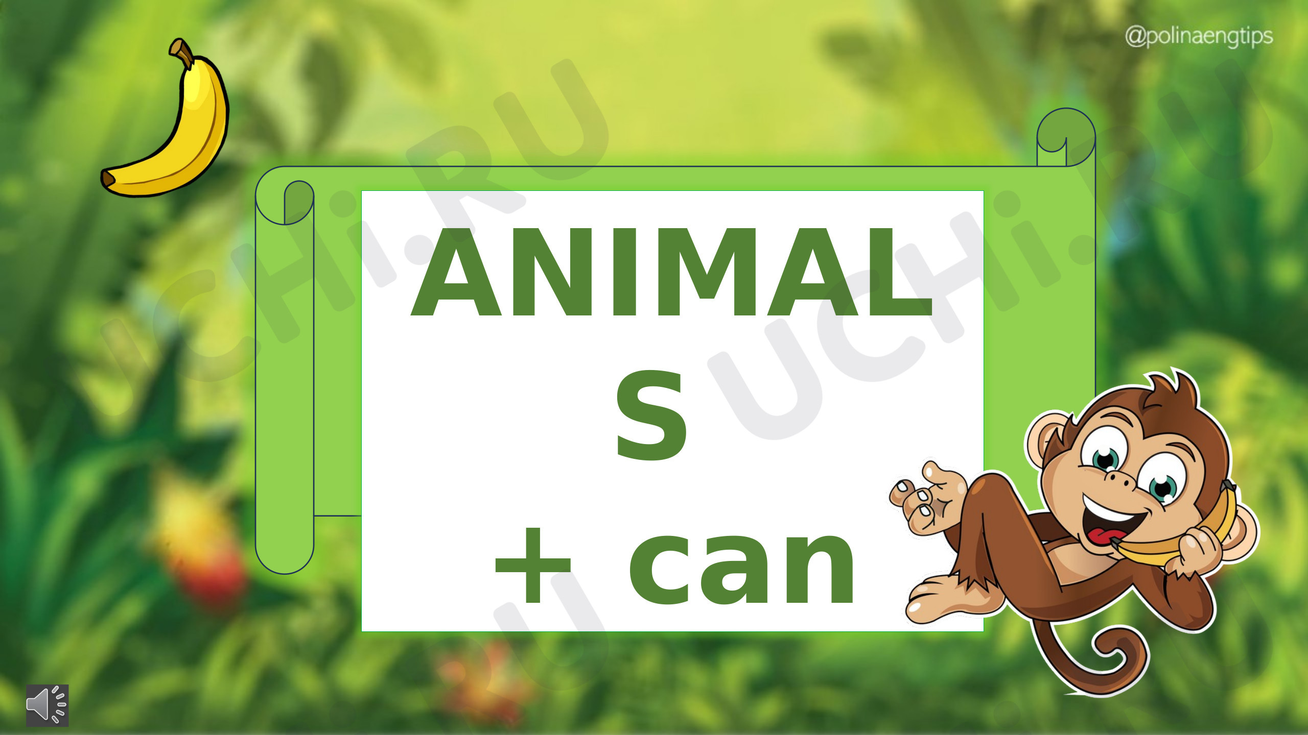 Предпросмотр материала Animals + CAN