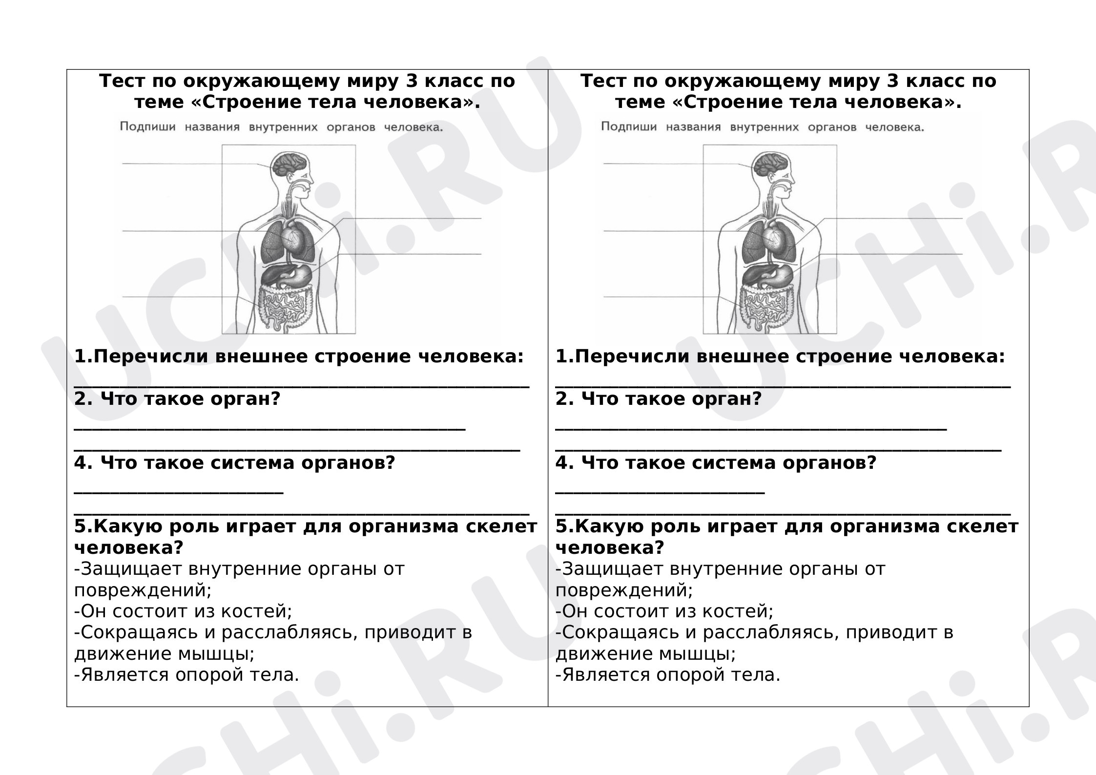 Предпросмотр материала Строение тела человека