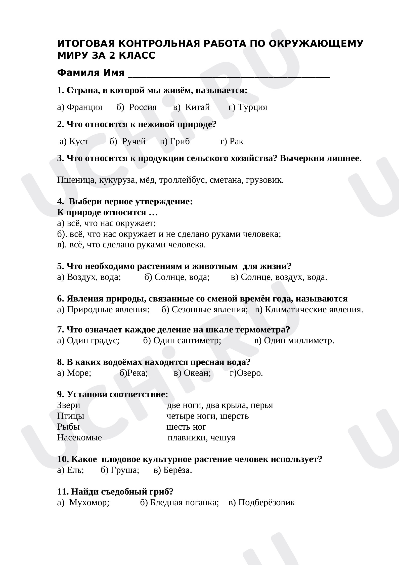 Предпросмотр материала Итоговая работа за год