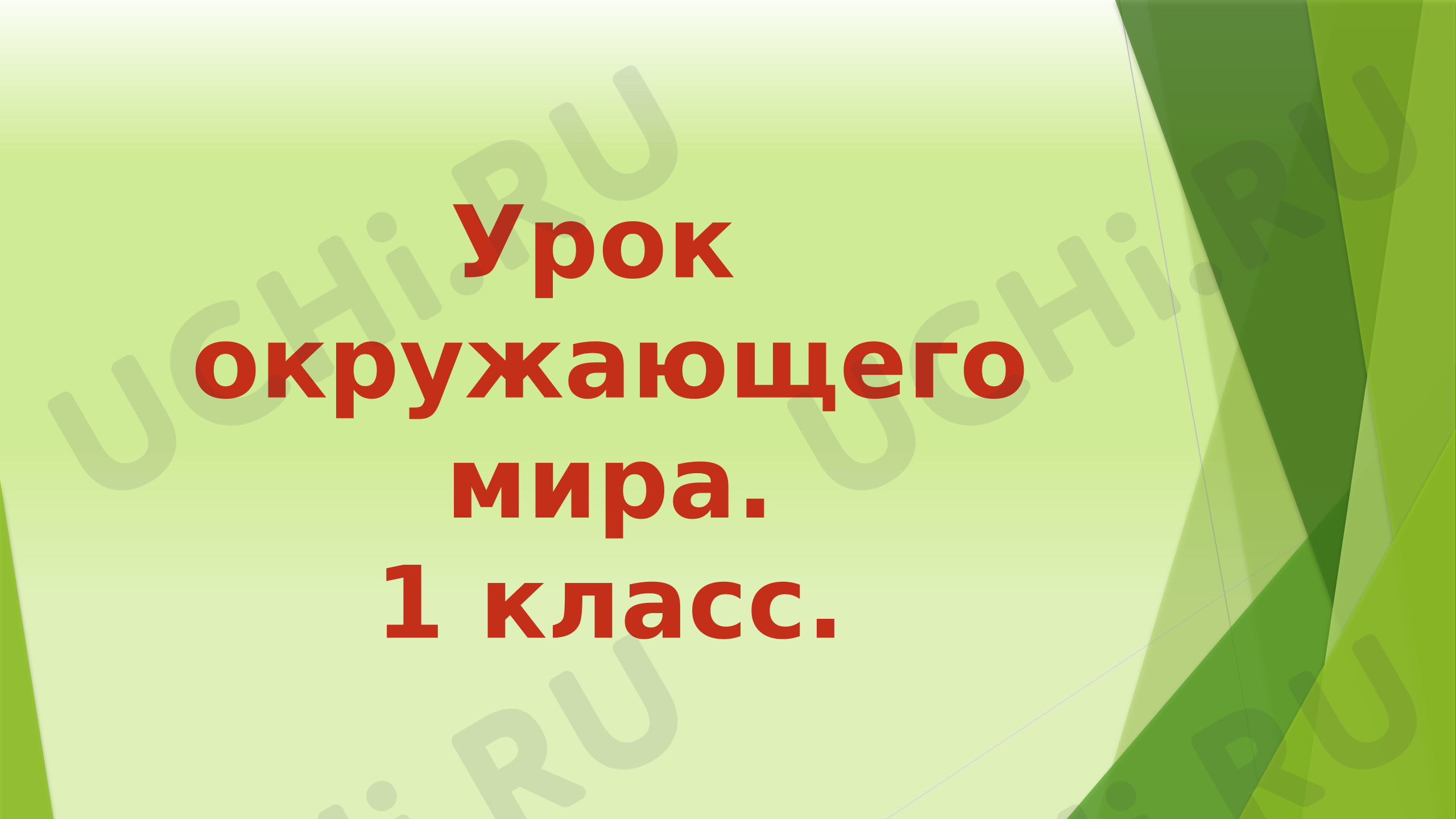 Предпросмотр материала Презентация к уроку окружающего мира. Птицы