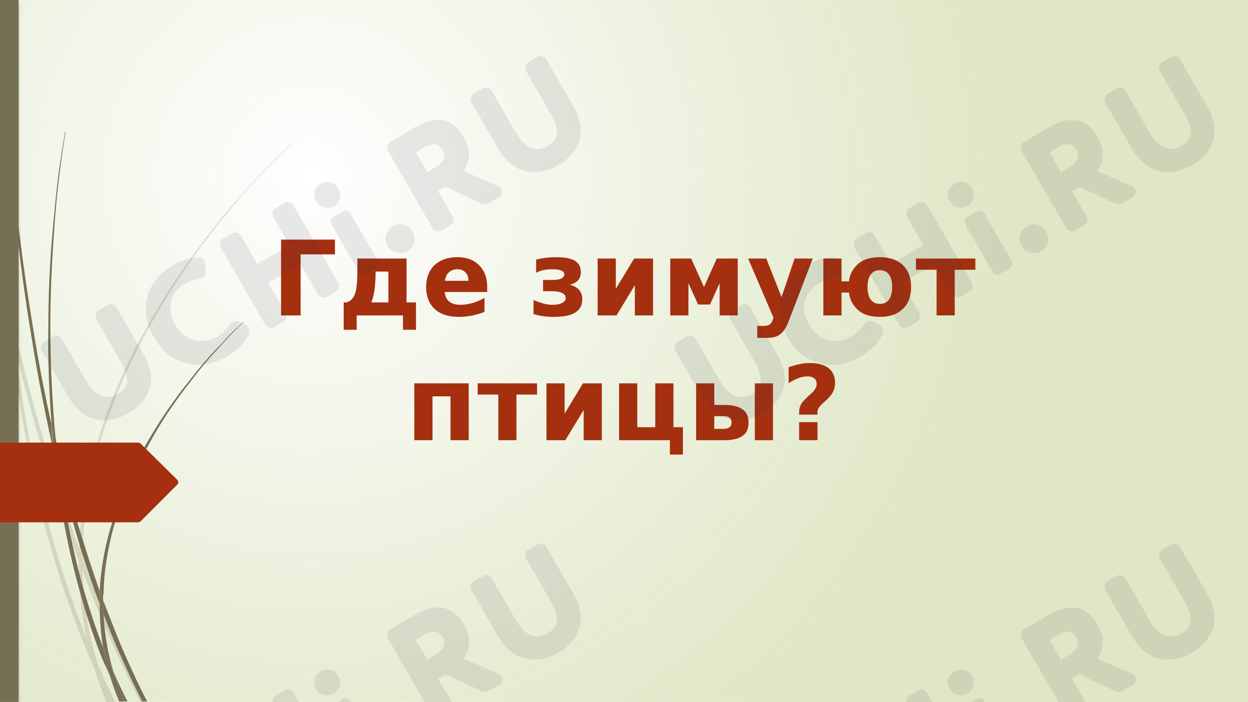 Предпросмотр материала Где зимуют птицы?