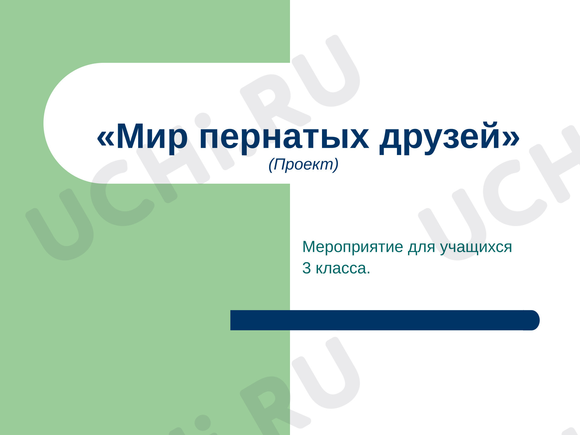Предпросмотр материала Презентация. Проект «Мир пернатых друзей».