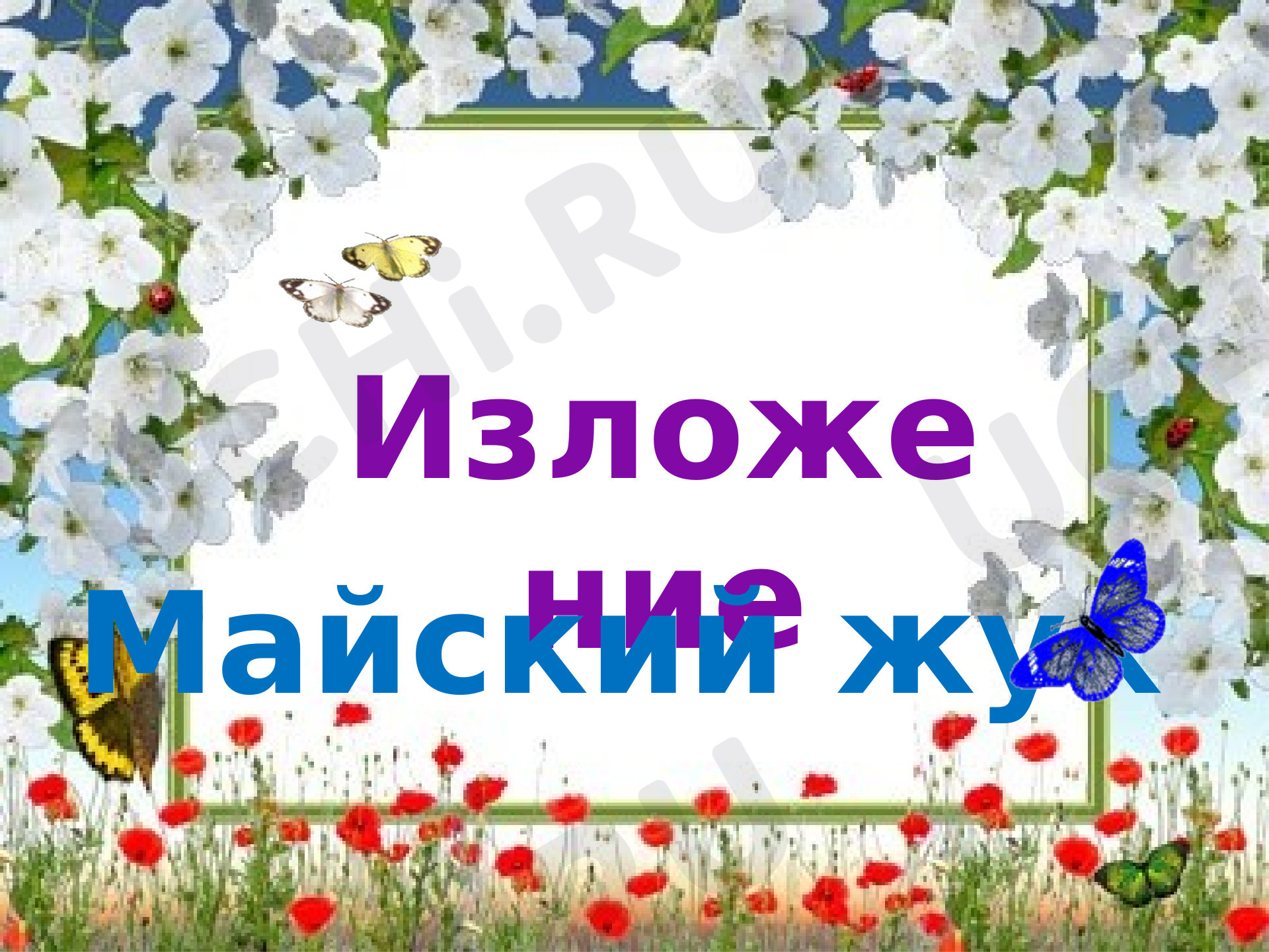 Предпросмотр материала Презентация к уроку русского языка. Изложение «Майский жук».