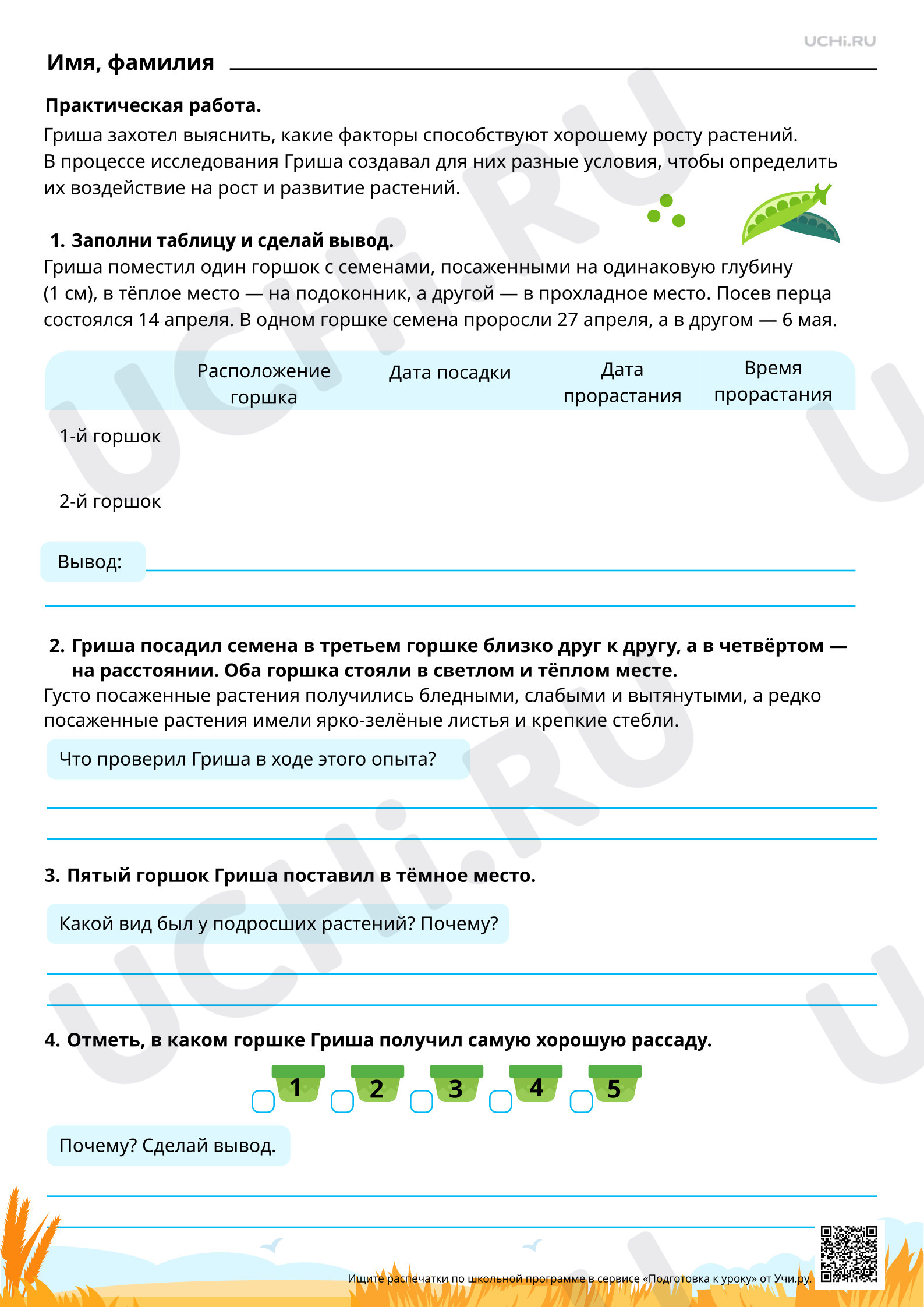 Предпросмотр материала Развитие растения от семени до семени. Повышенный уровень