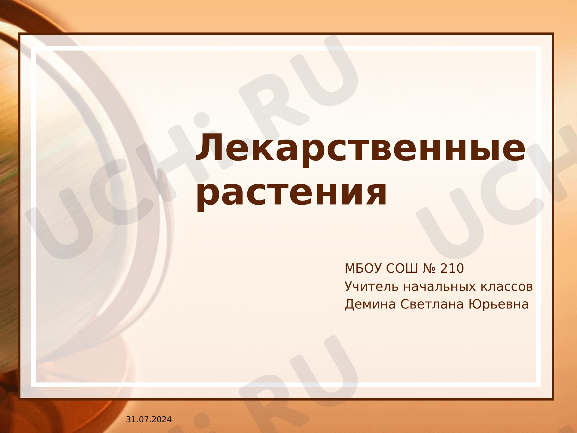 Предпросмотр материала Лекарственные растения