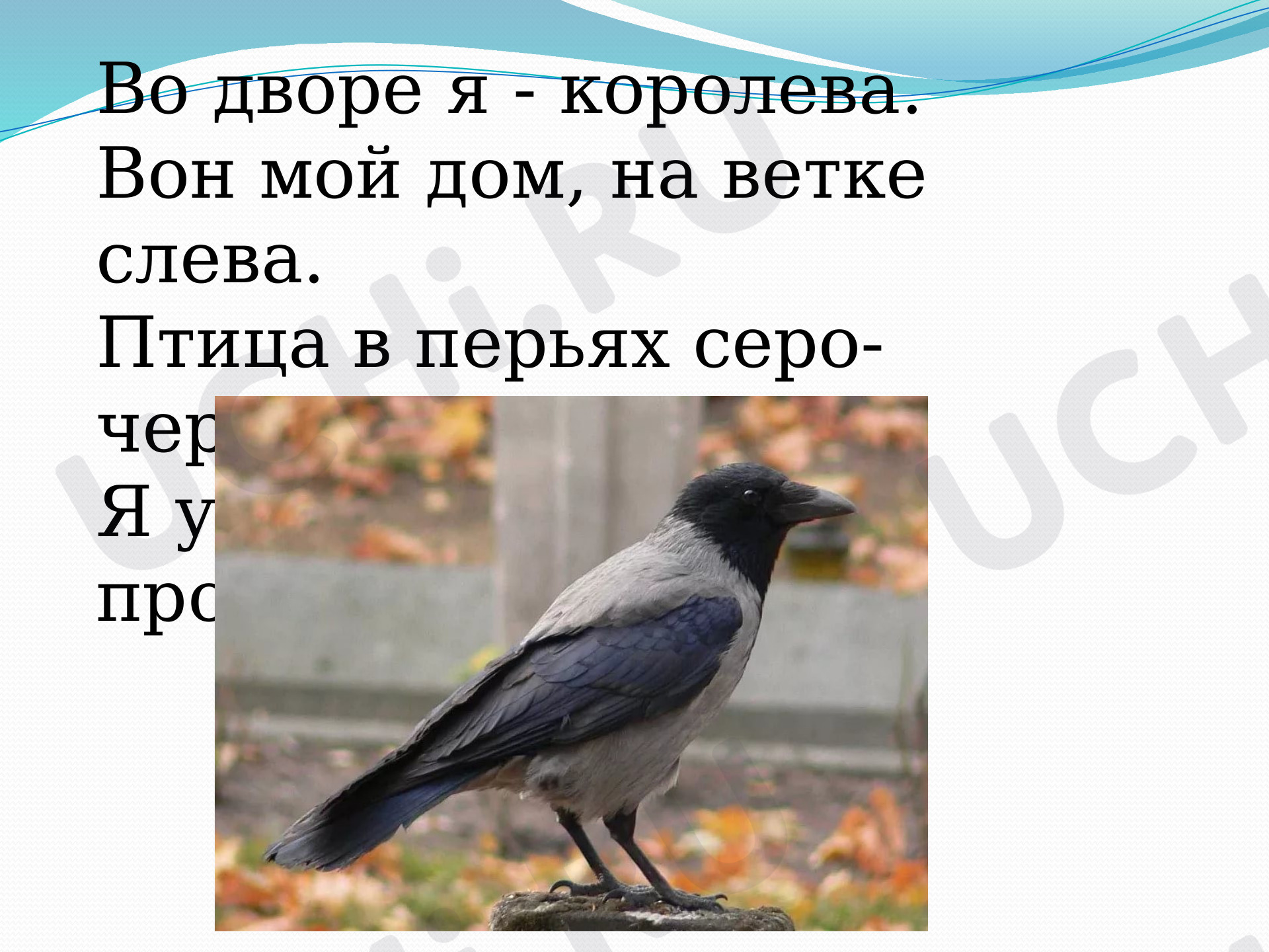 Предпросмотр материала Однозначные и многозначные слова