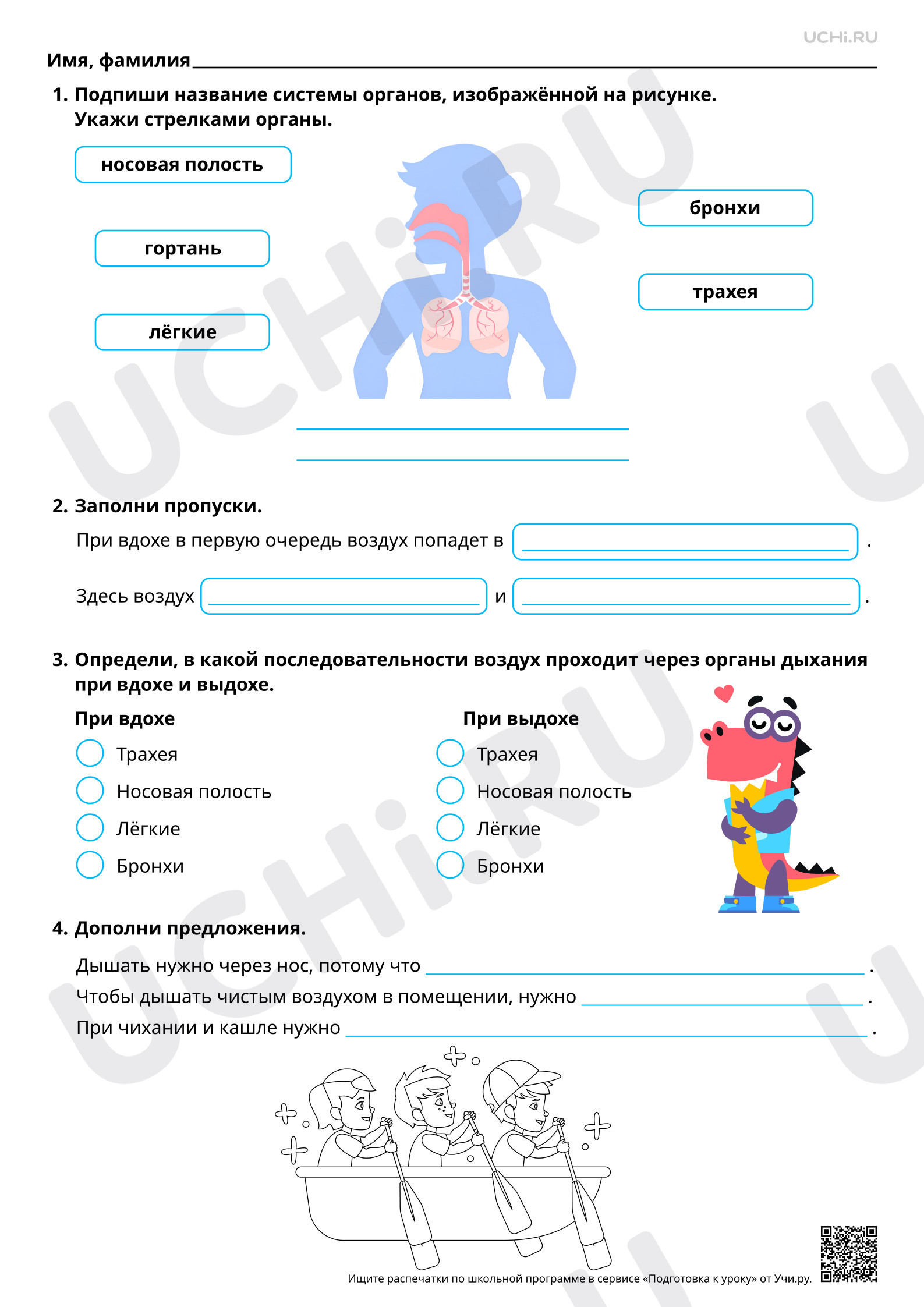 Предпросмотр материала Дыхательная система и её роль в жизни человека. Базовый уровень