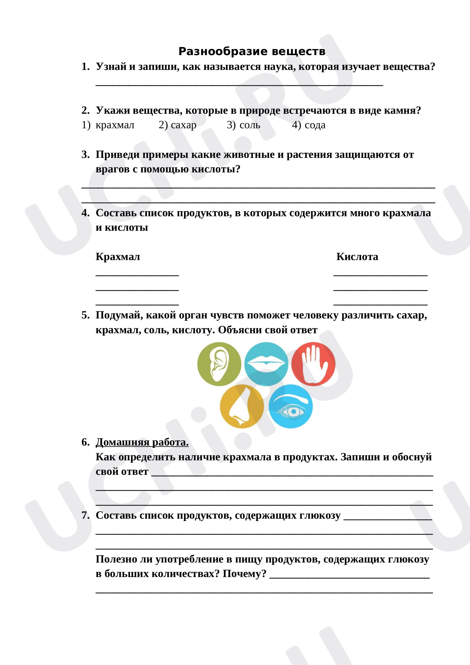 Предпросмотр материала Разнообразие веществ