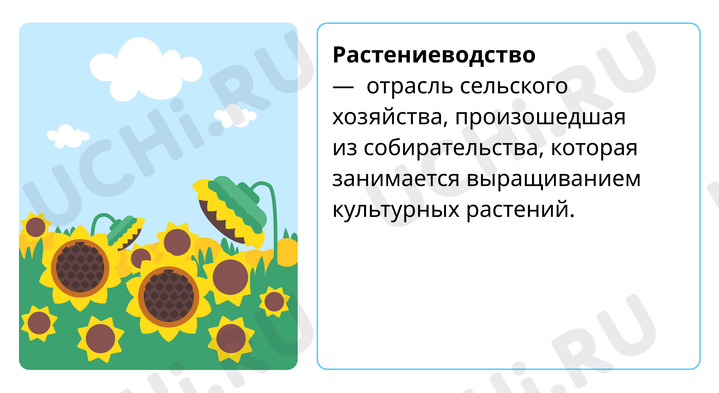 Экономика, окружающий мир 3 класс | Подготовка к уроку от Учи.ру