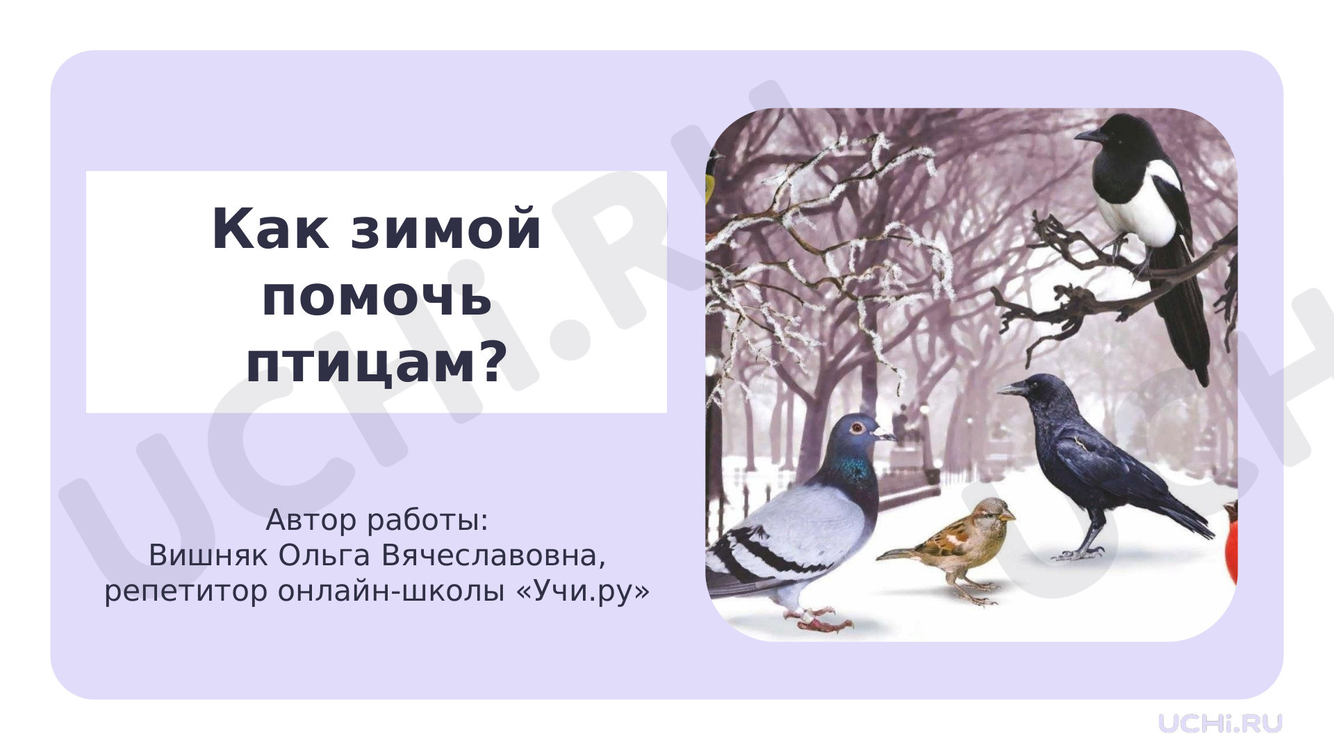 Предпросмотр материала Как помочь птицам зимой?