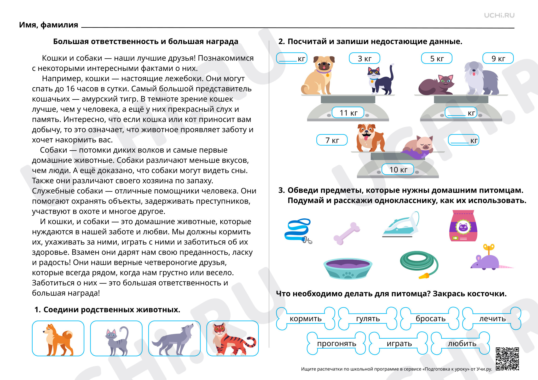 Предпросмотр материала Наши верные друзья