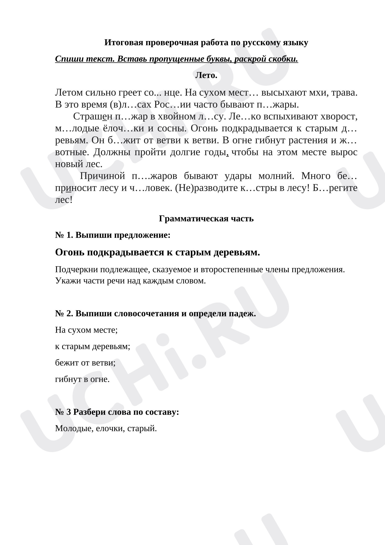 Предпросмотр материала Итоговая проверочная работа по русскому языку