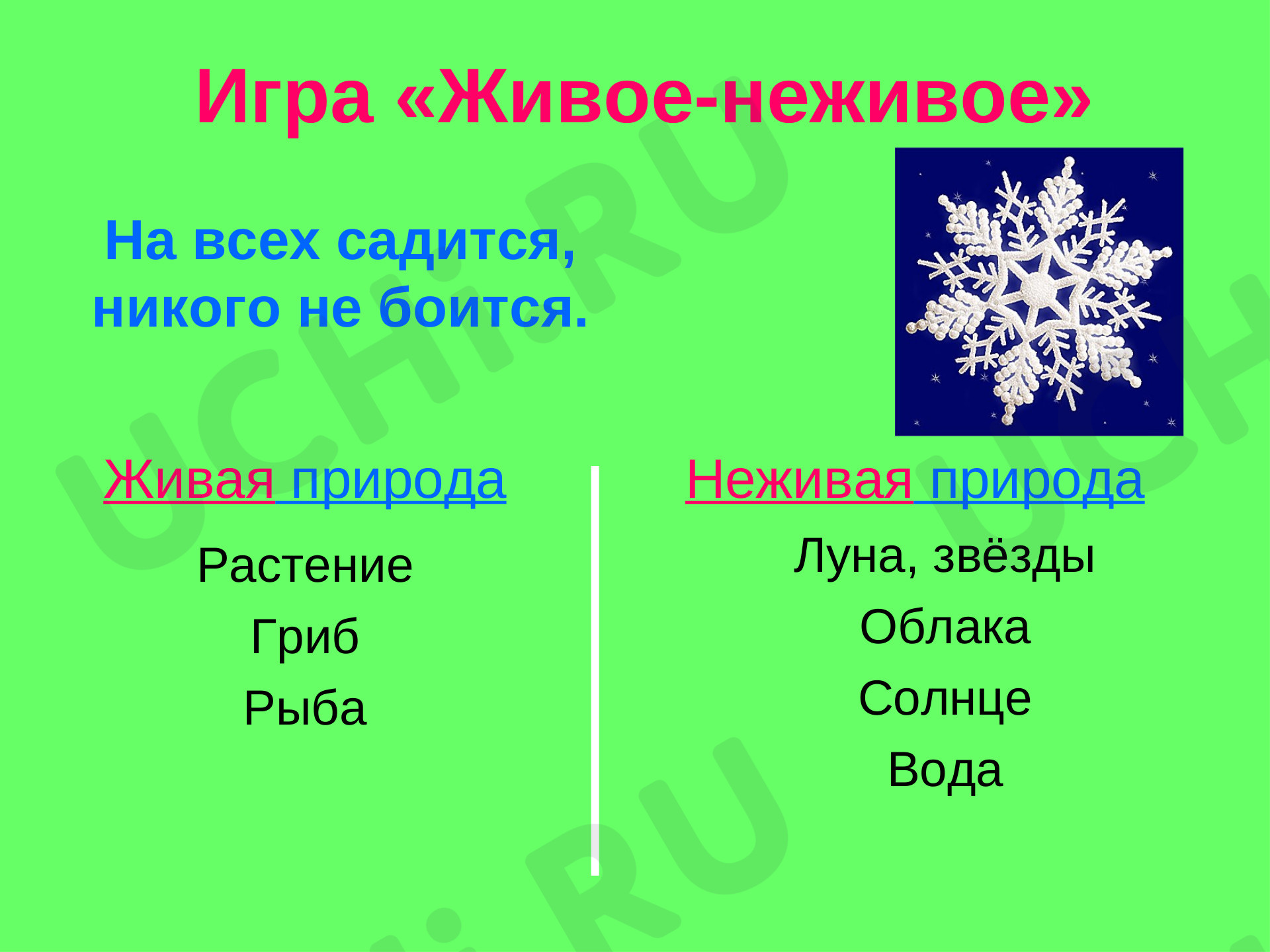 Живая и неживая природа: Объекты живой природы. Сравнение объектов неживой  и живой природы: выделение различий | Учи.ру