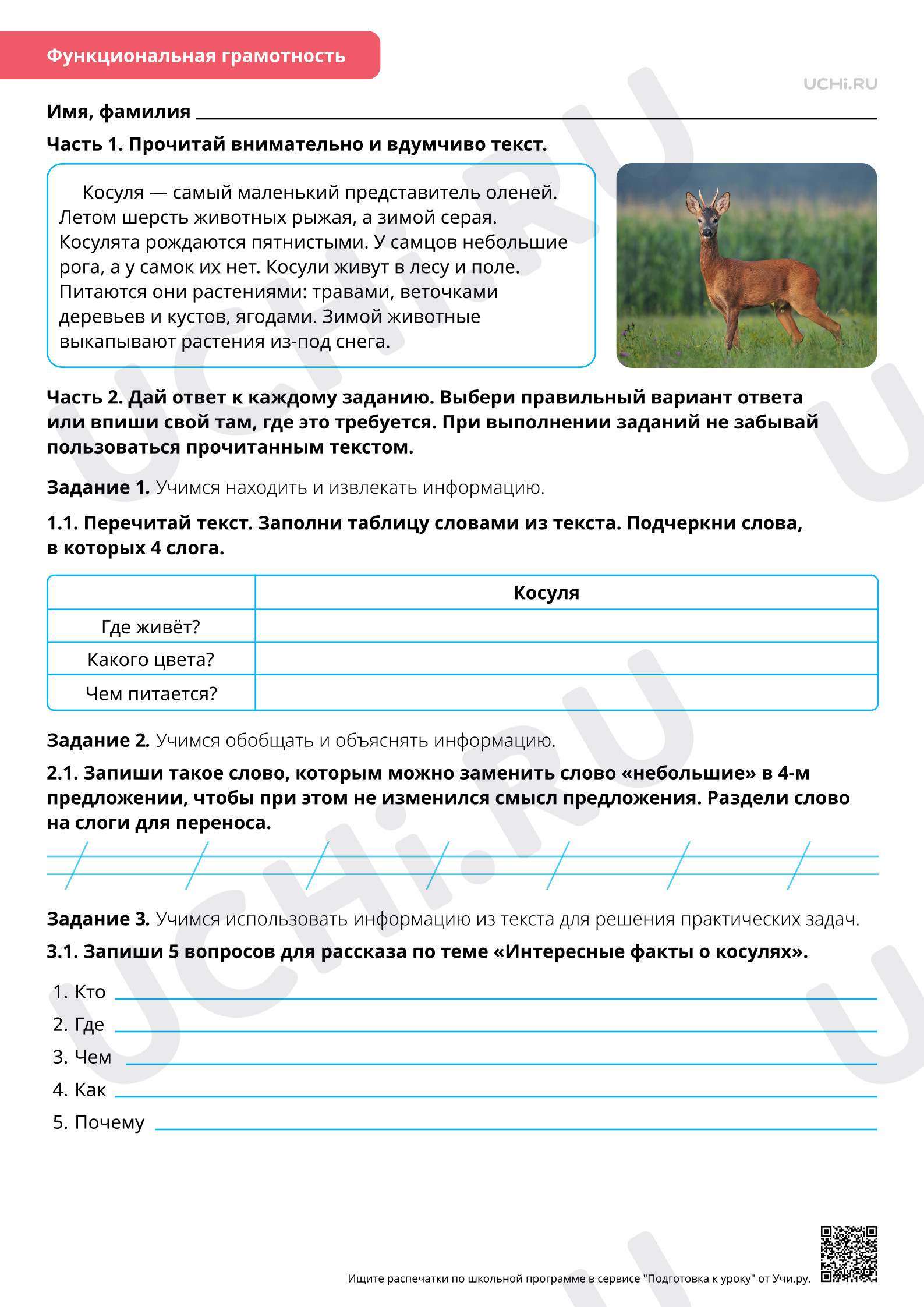 Предпросмотр материала Перенос слов со строки на строку. Повышенный уровень