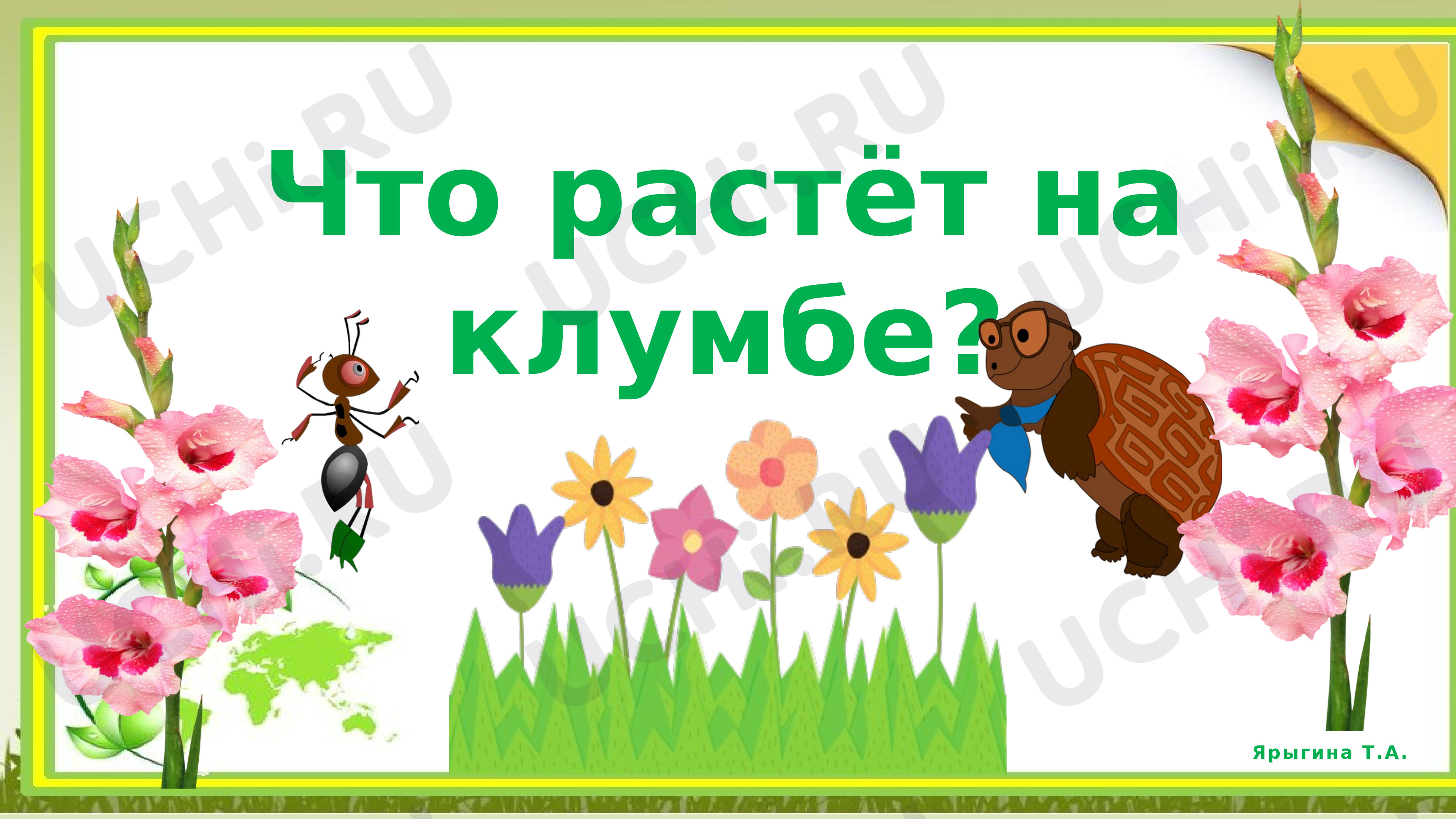 Предпросмотр материала Что растет на клумбе?