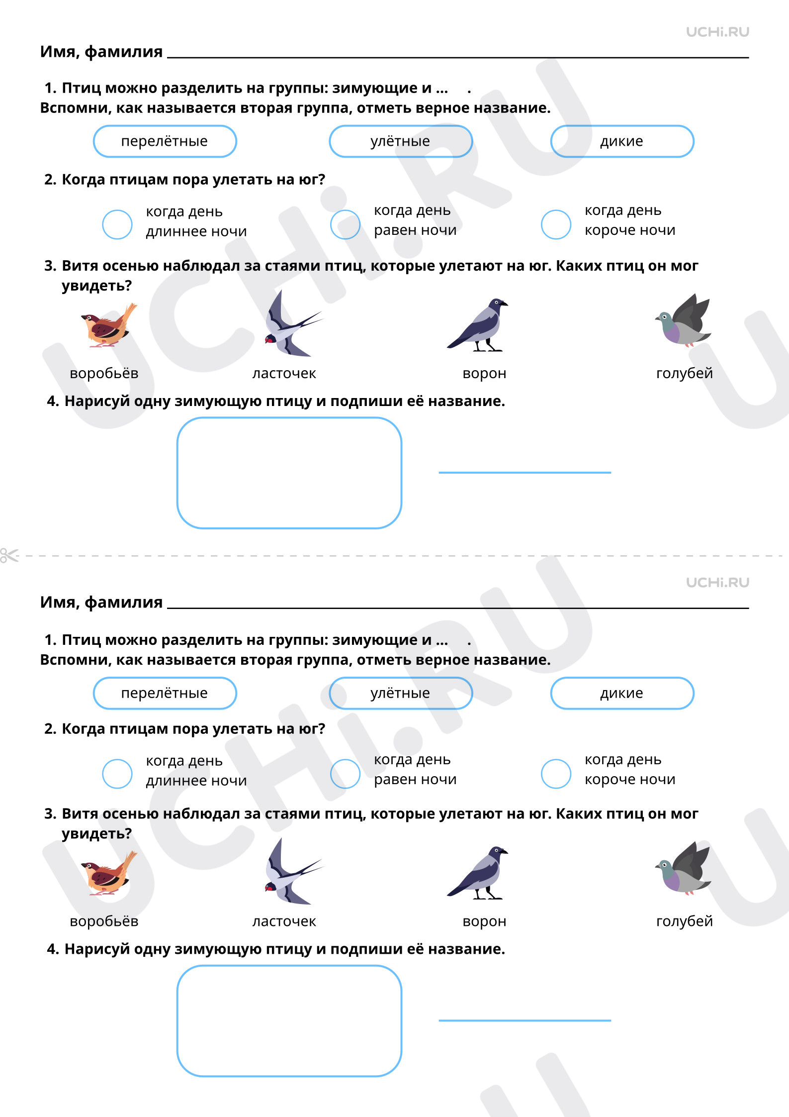 Рабочие листы по теме «Мир животных. Перелётные и зимующие птицы». Базовый  уровень: Мир животных. Перелётные и зимующие птицы | Учи.ру