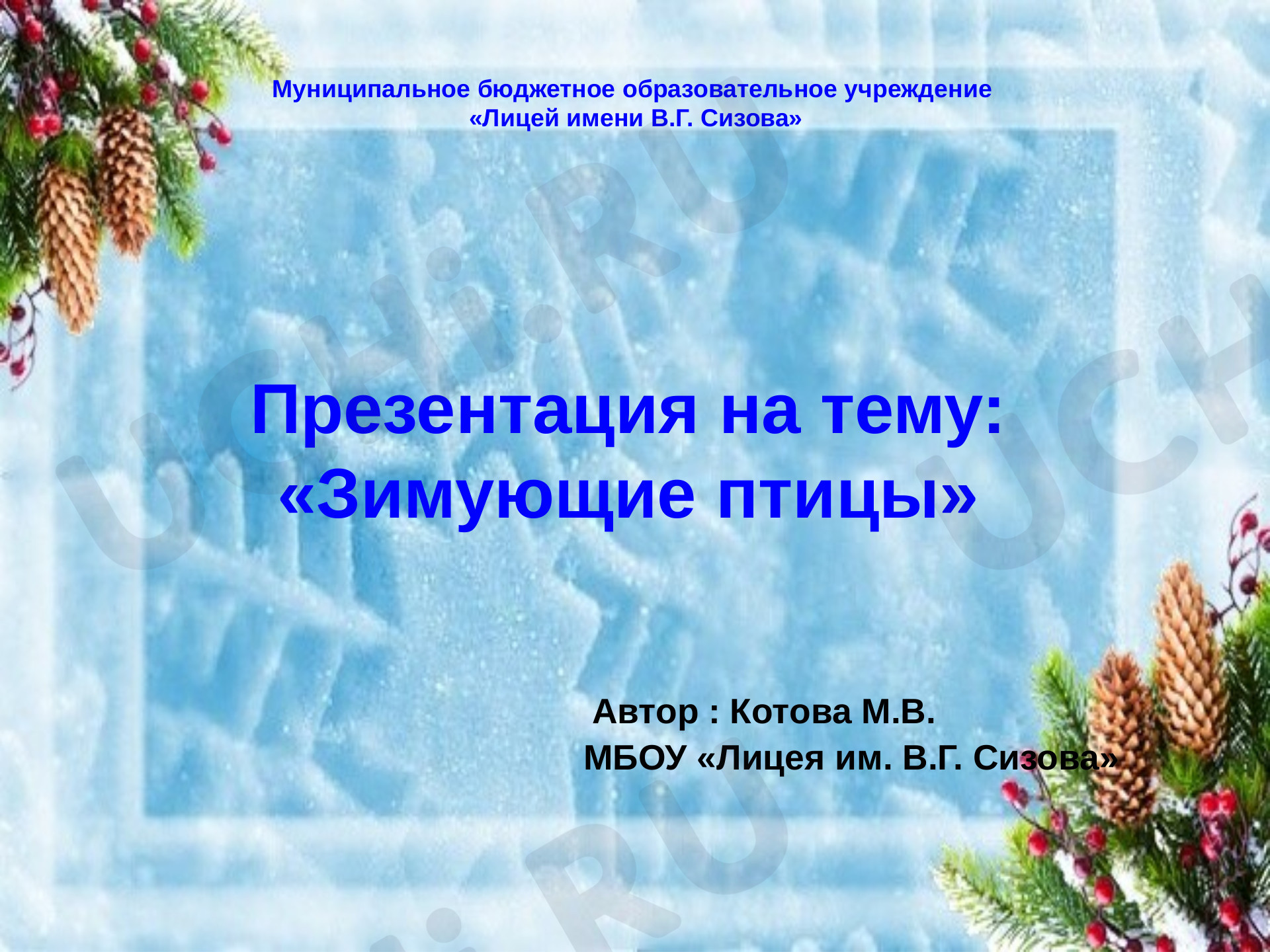 Предпросмотр материала Зимующие птицы