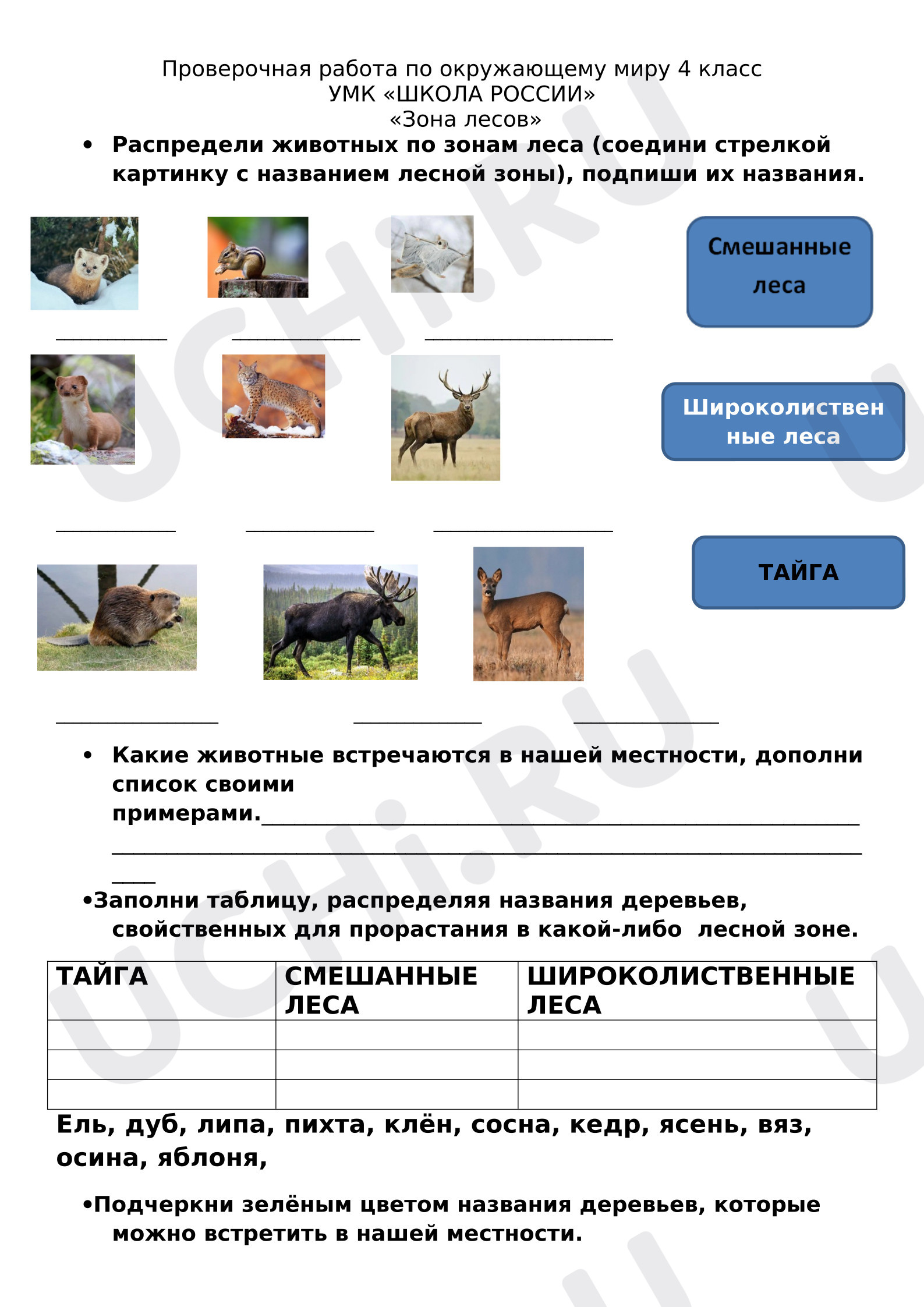 Предпросмотр материала Проверочная работа к уроку окружающего мира. Растительный и животный мир зоны лесов.