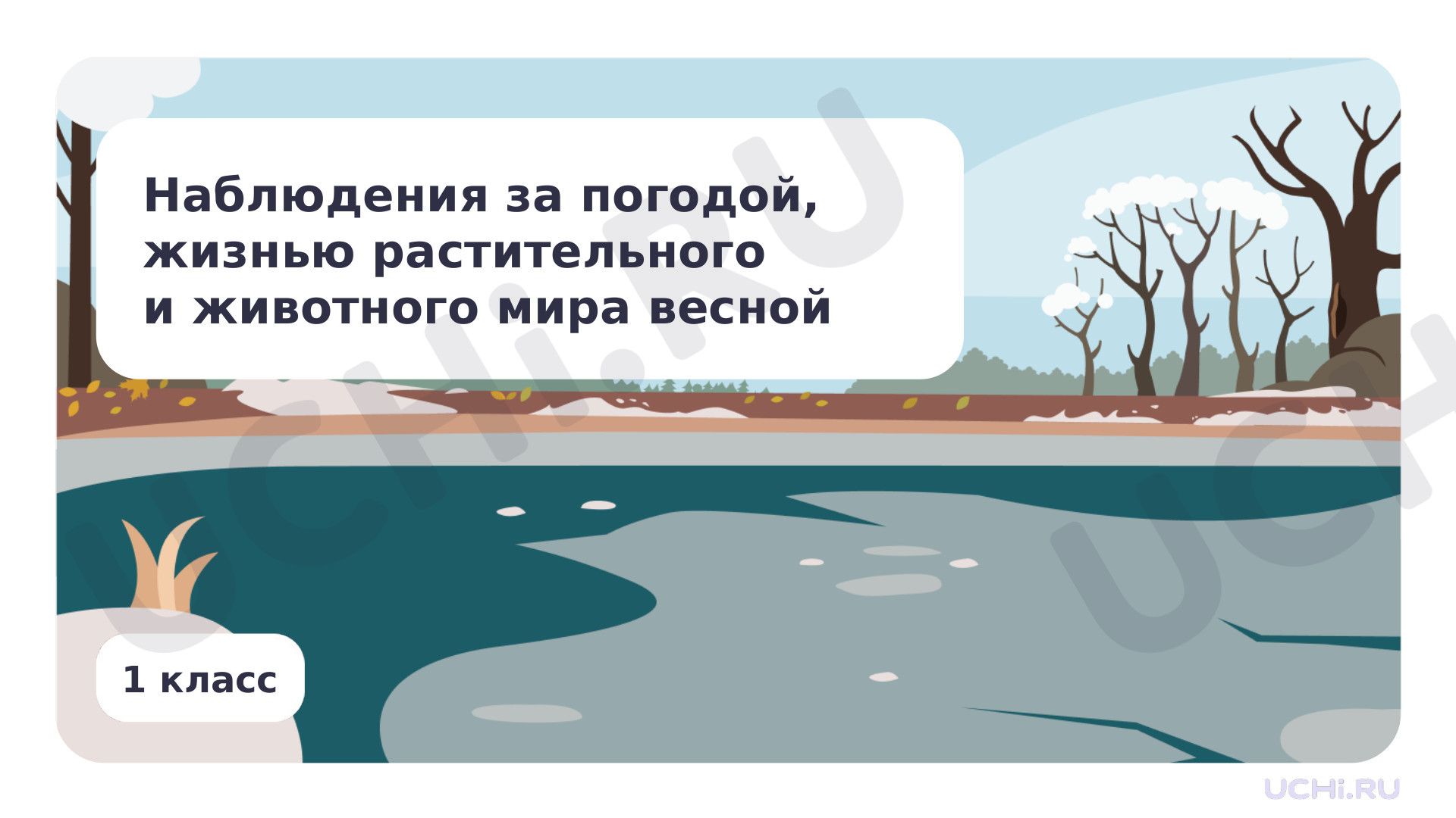 Времена года. Наблюдения за погодой, жизнью растительного и животного мира  весной: Наблюдения за особенностью погоды, жизнью растительного и животного  мира весной | Учи.ру