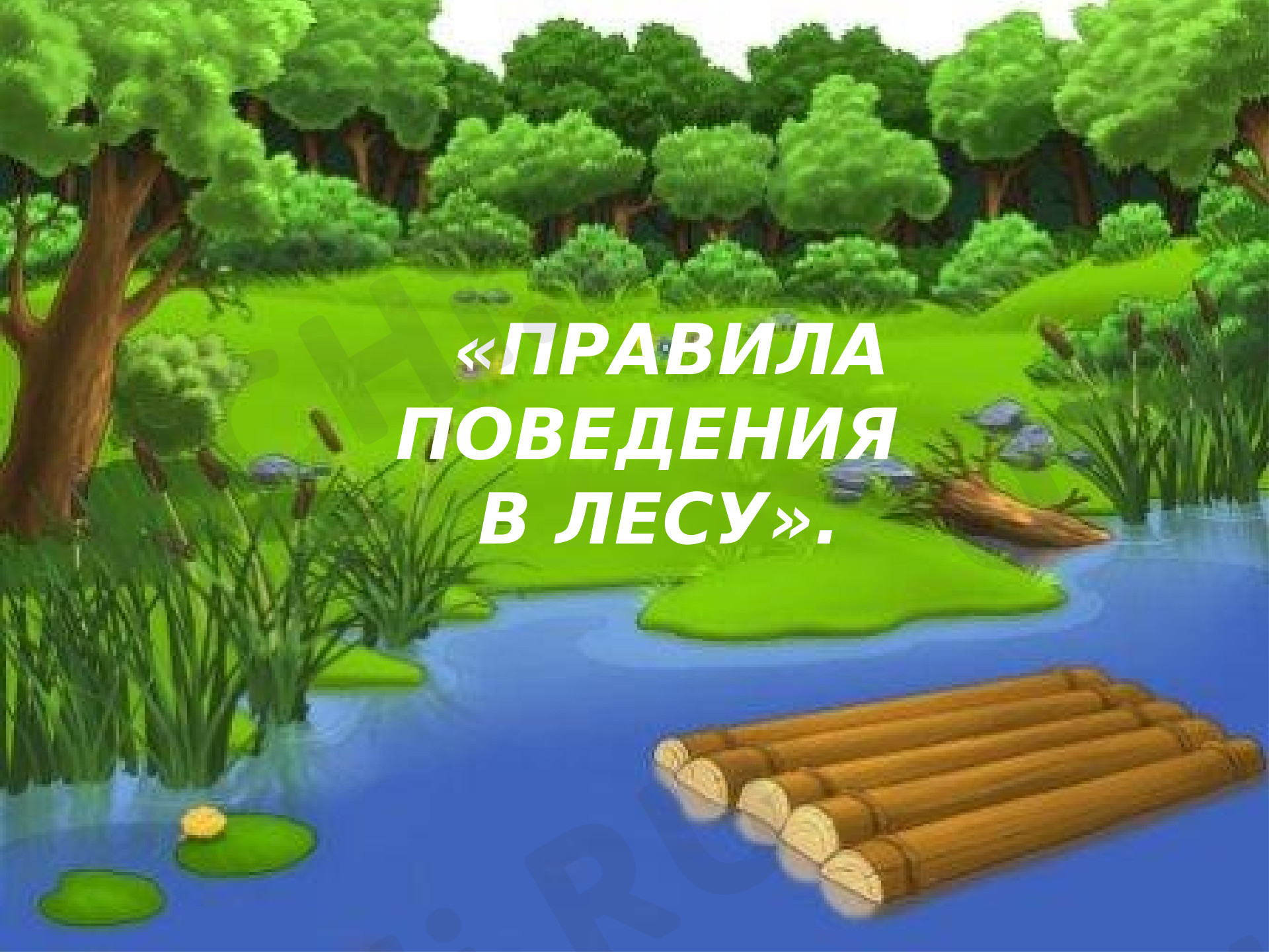 Предпросмотр материала Презентация к уроку окружающего мира на тему «Правила поведения в лесу»
