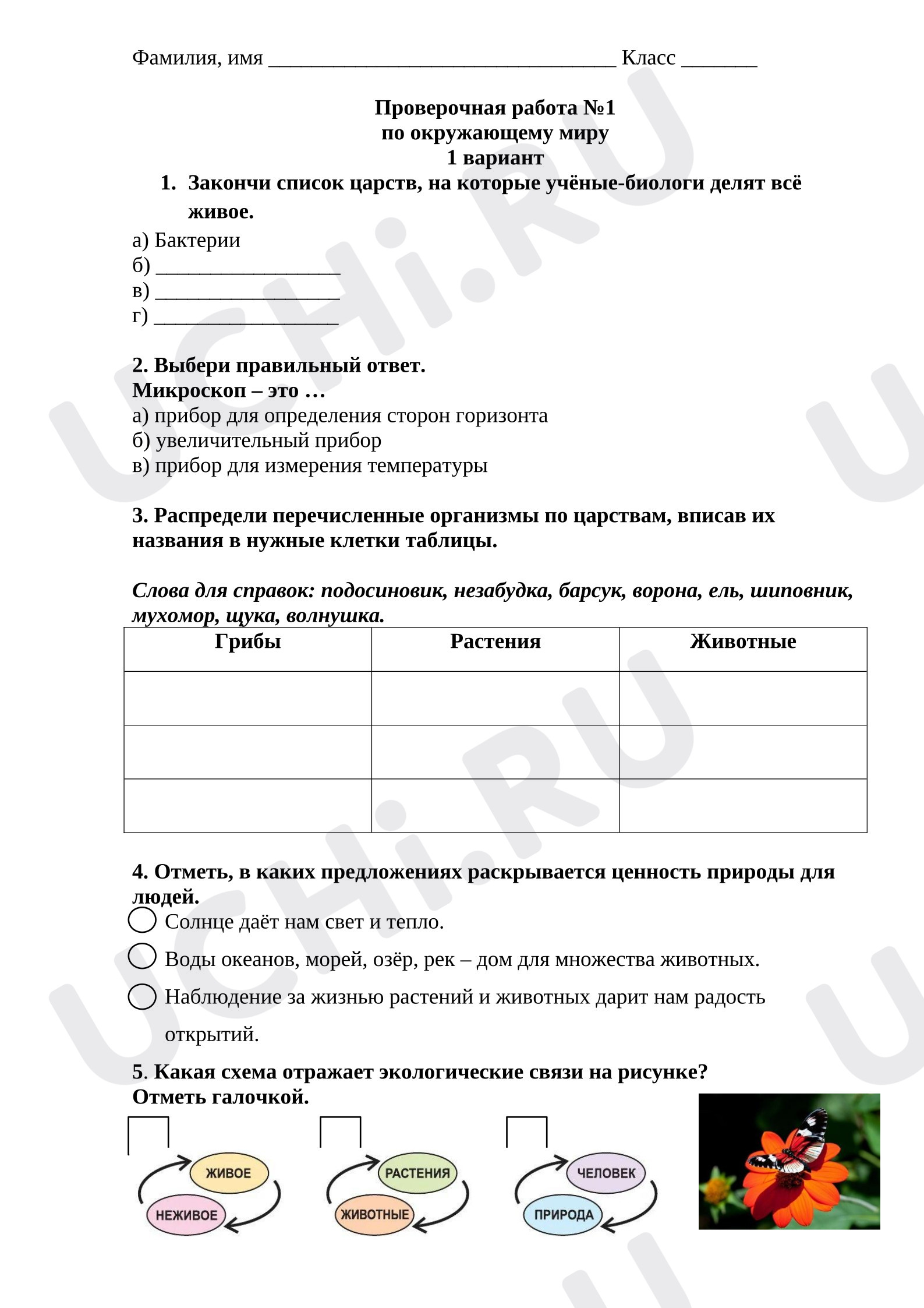Предпросмотр материала Проверочная работа к уроку окружающего мира.