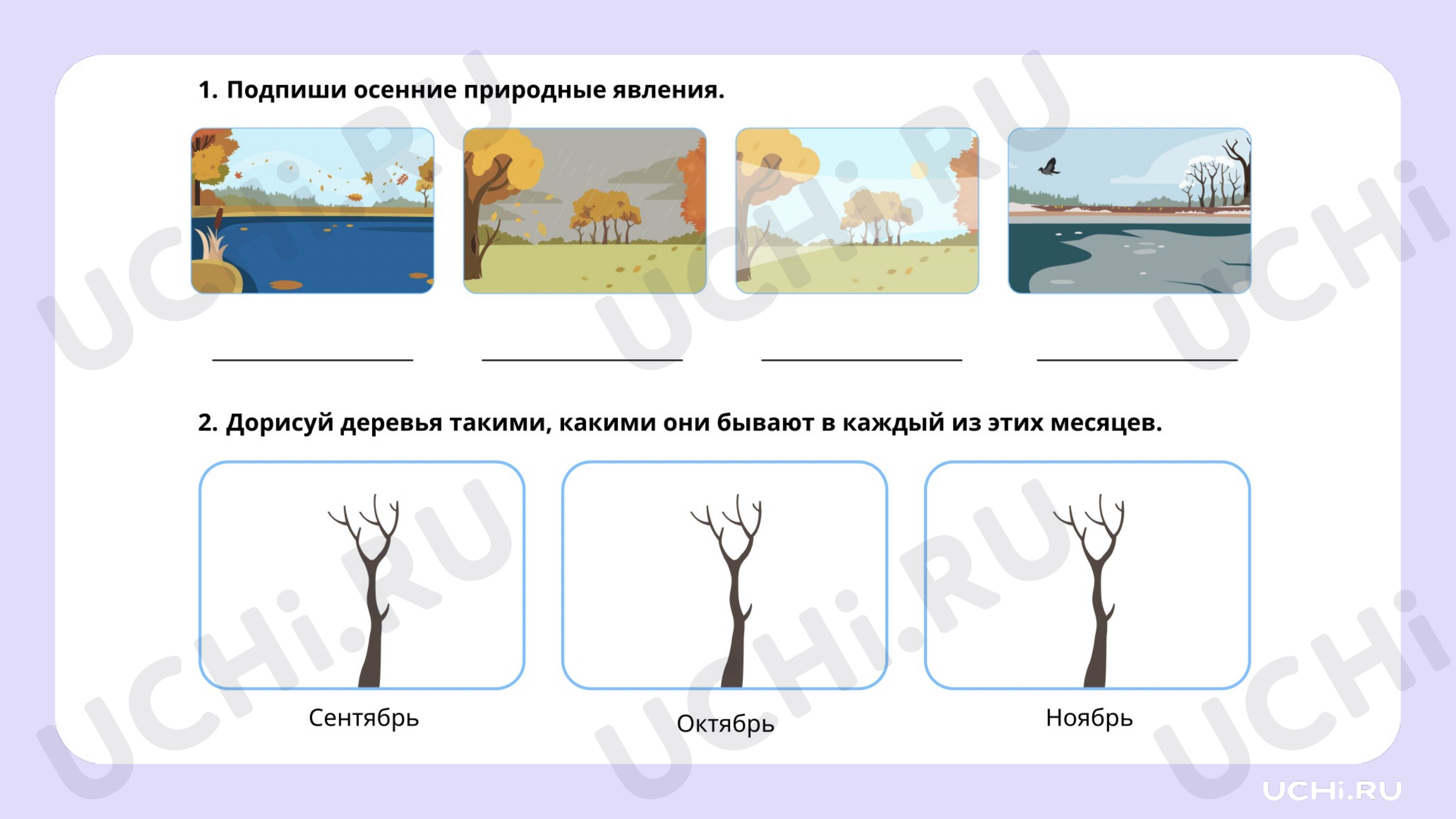 Наблюдения за погодой, жизнью растительного и животного мира осенью
