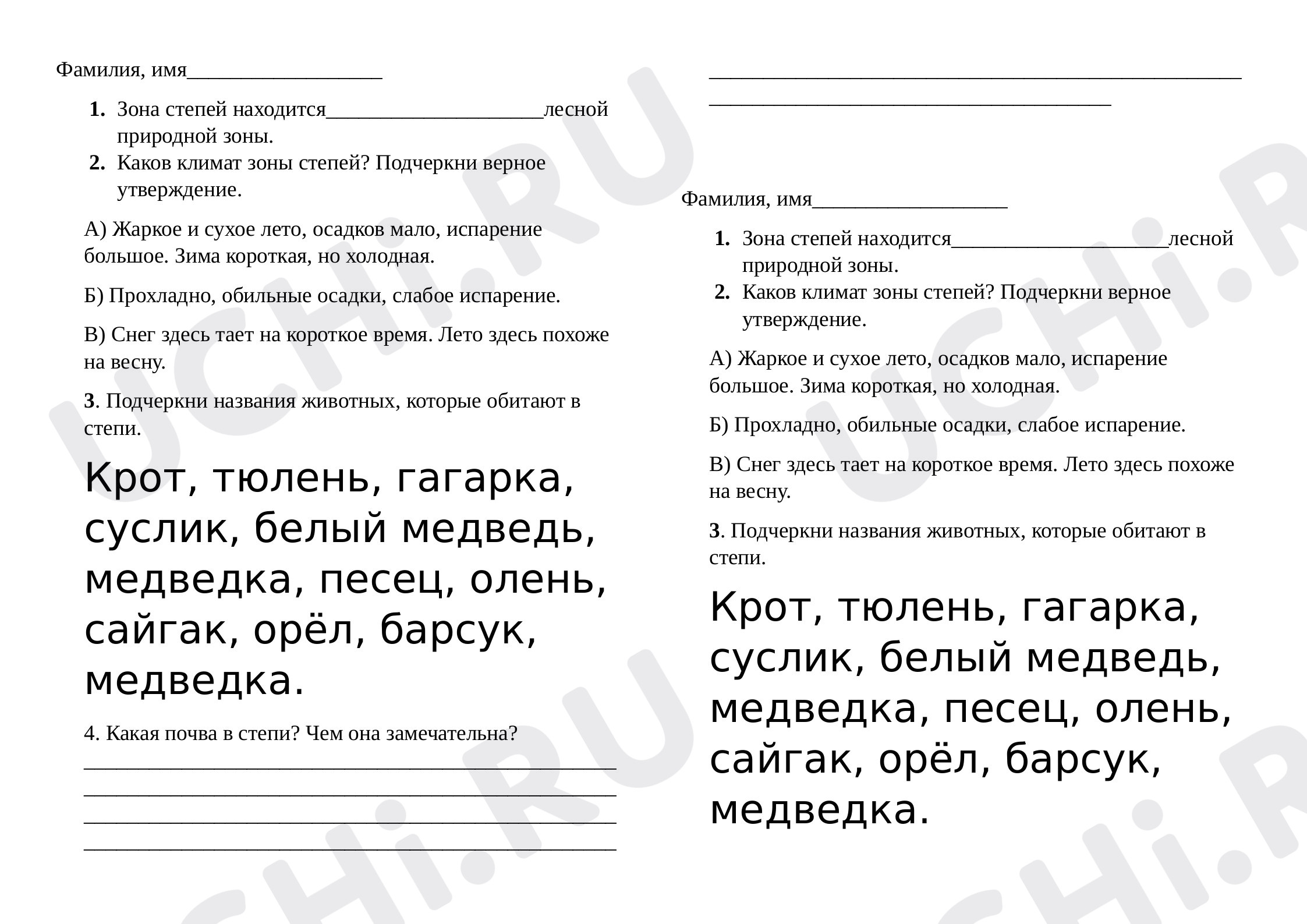 Предпросмотр материала Проверочная работа, Окружающий мир, Зона степей.