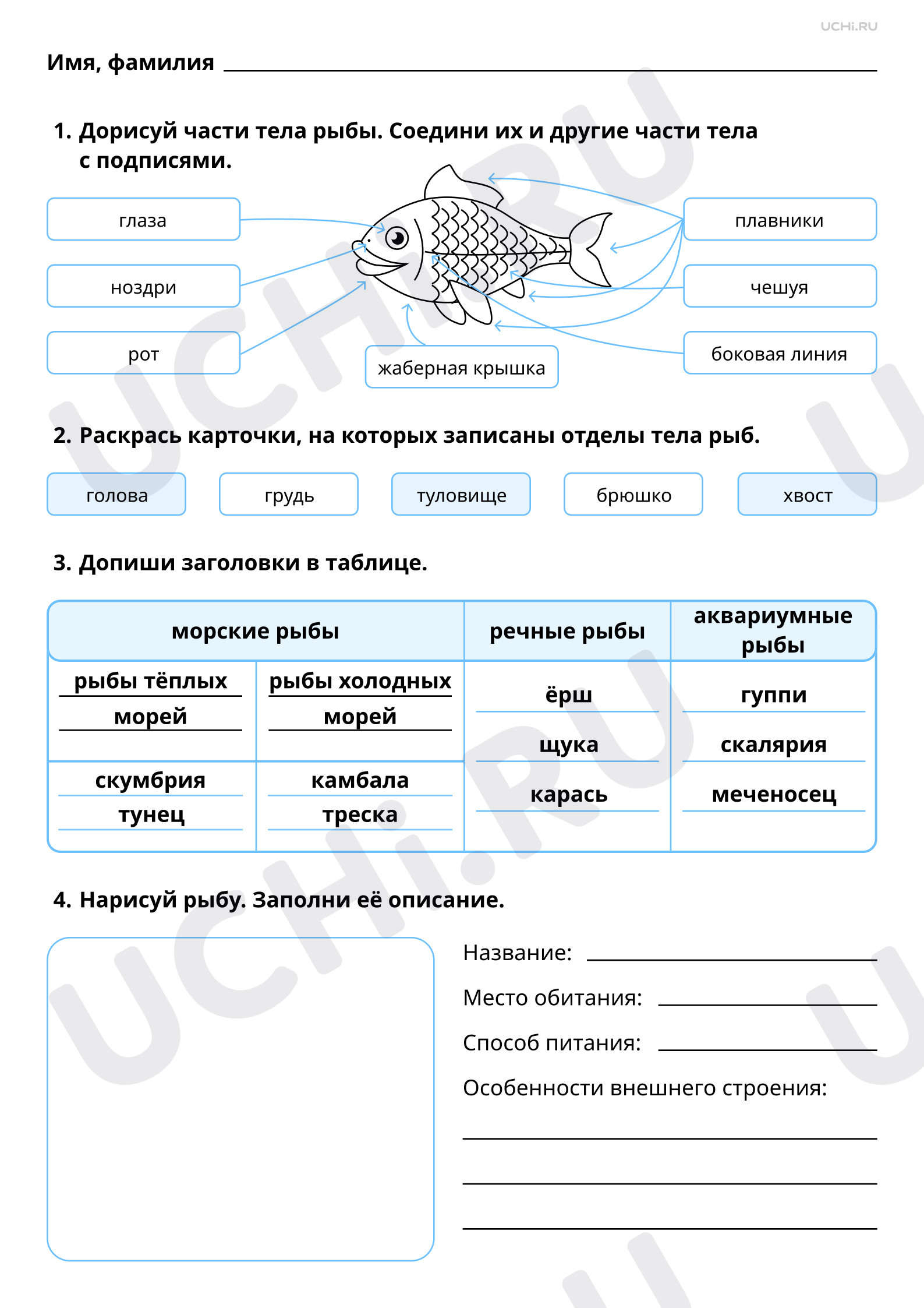 Предпросмотр материала Мир животных: рыбы. Ответы