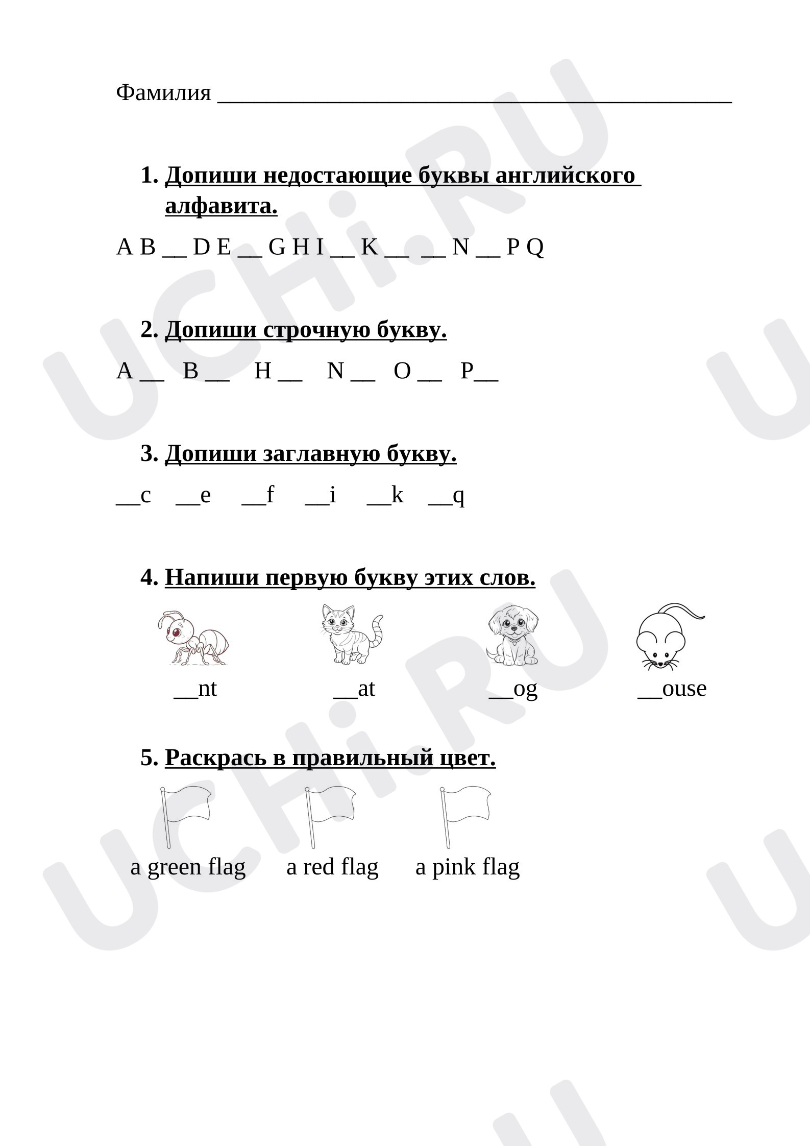 Предпросмотр материала Английский язык. Проверочная работа по теме «Алфавит», 2 класс