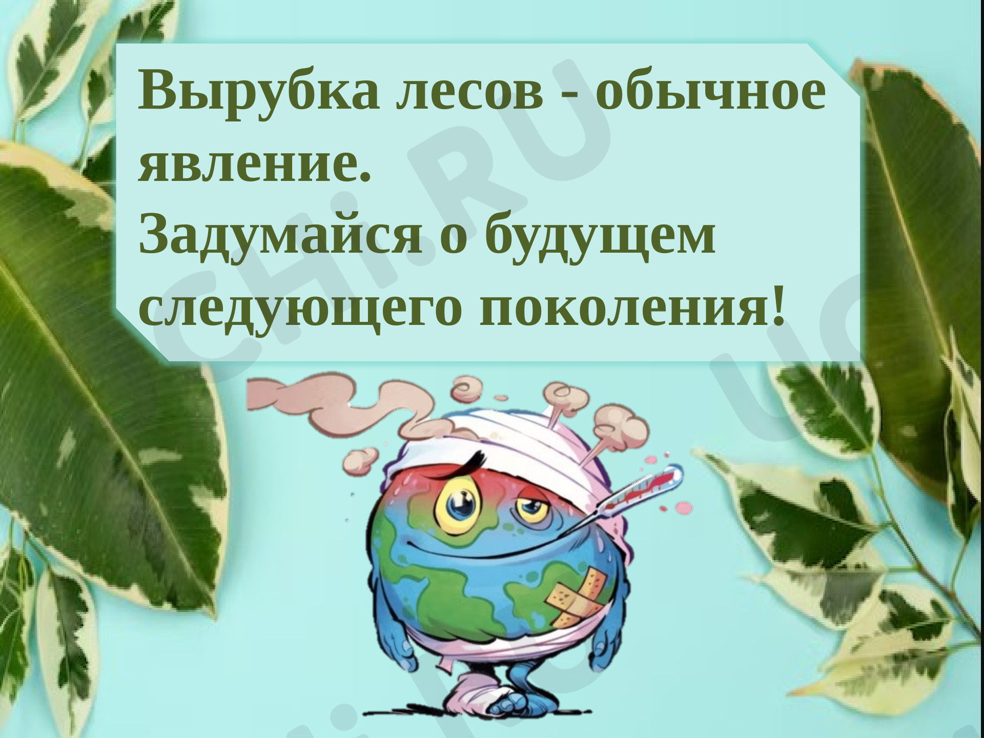 Предпросмотр материала Презентация к уроку окружающего мира. Охрана растений.