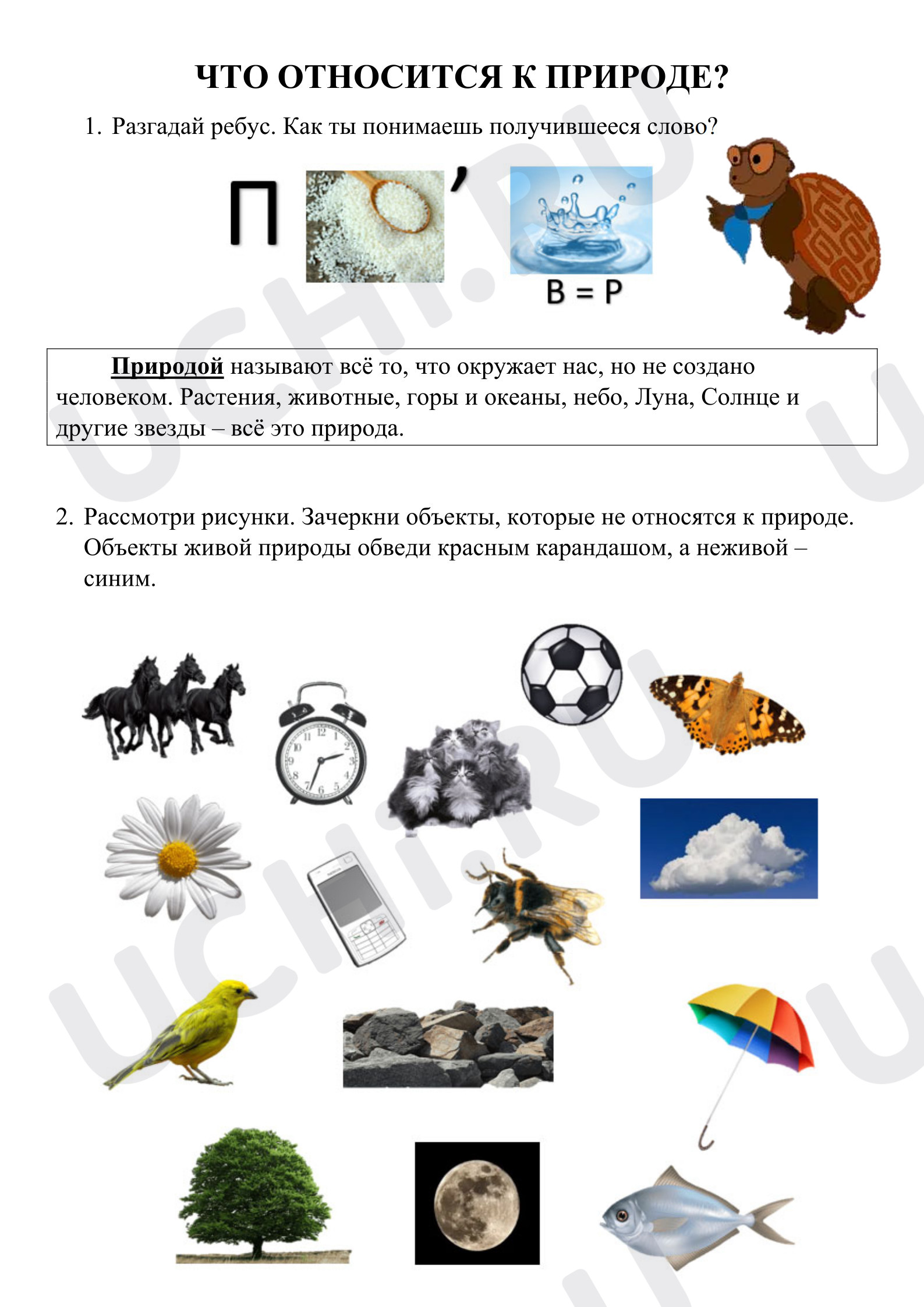 Предпросмотр материала Рабочий лист к уроку окружающего мира по теме "Что относится к природе"
