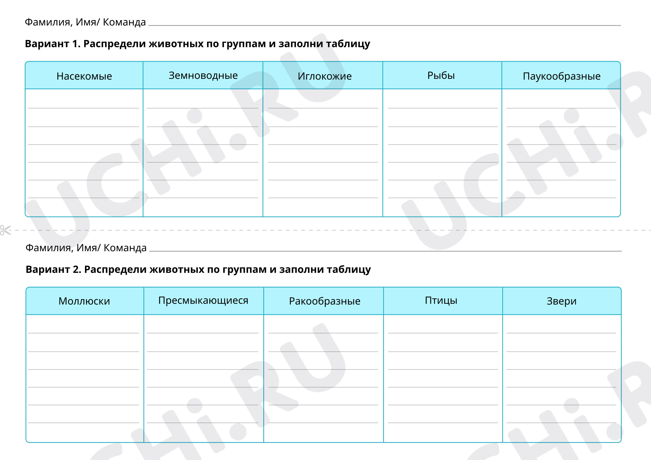Предпросмотр материала Раздели на группы. Бланки для заполнения