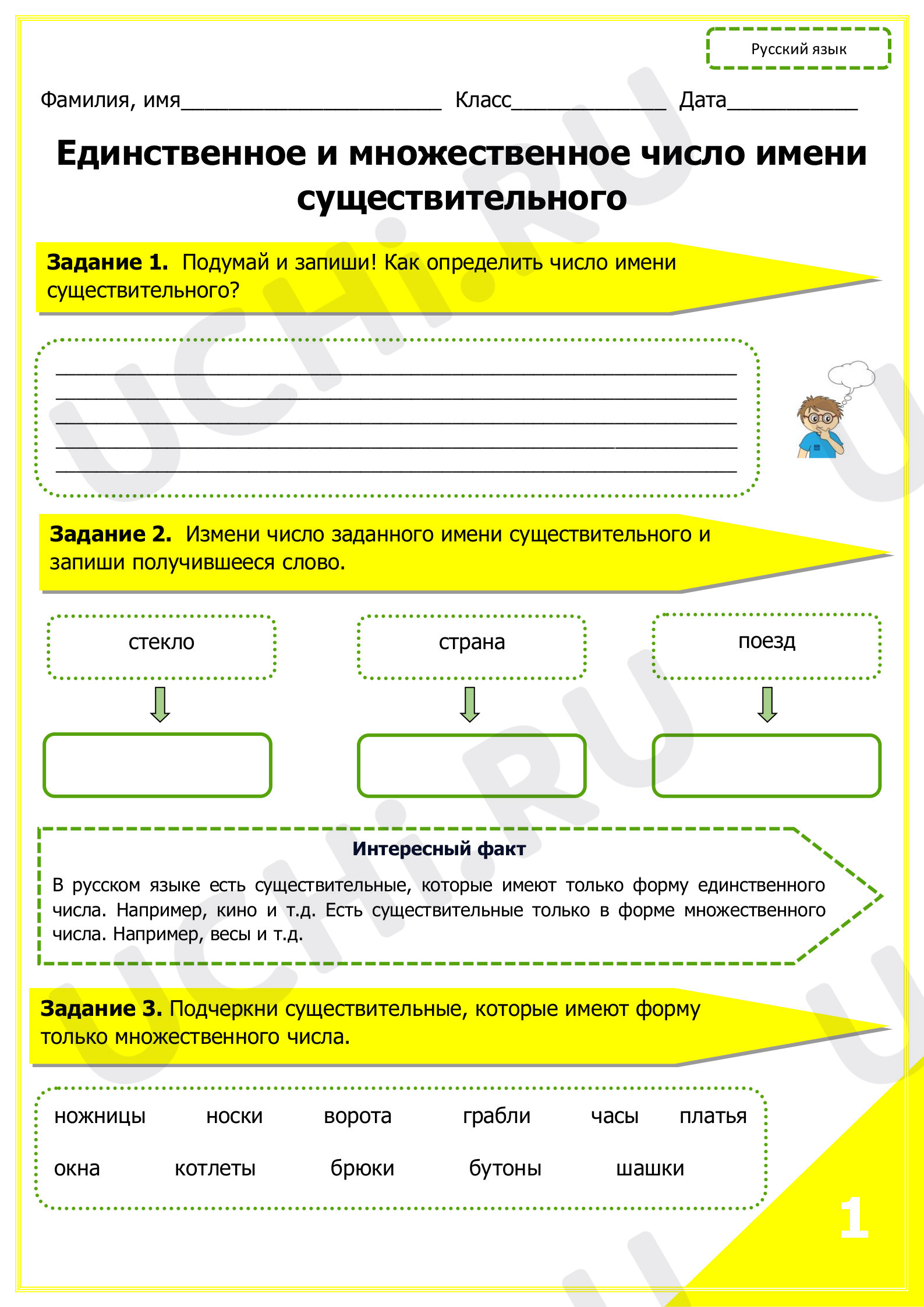 Предпросмотр материала Единственное и множественное число имени существительного