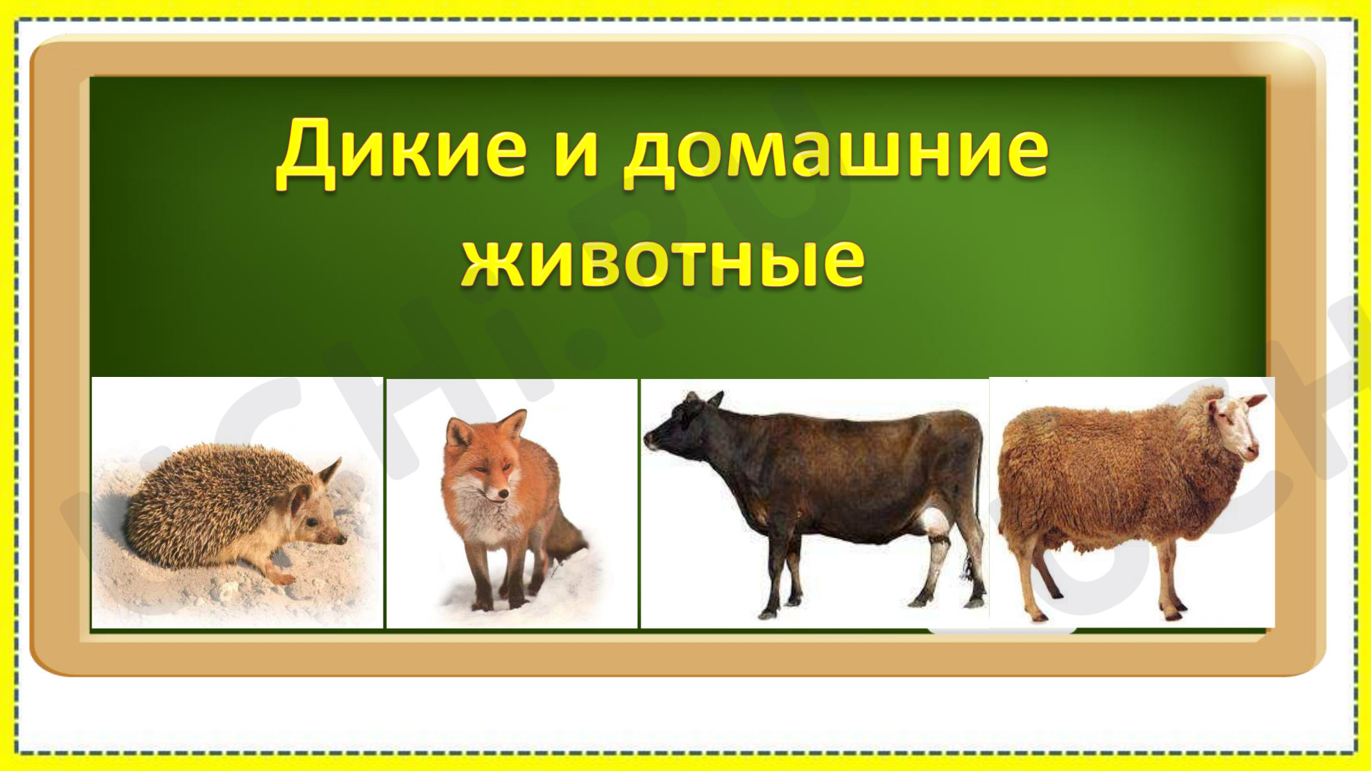 Предпросмотр материала Презентация к уроку окружающего мира. Домашние и дикие животные.