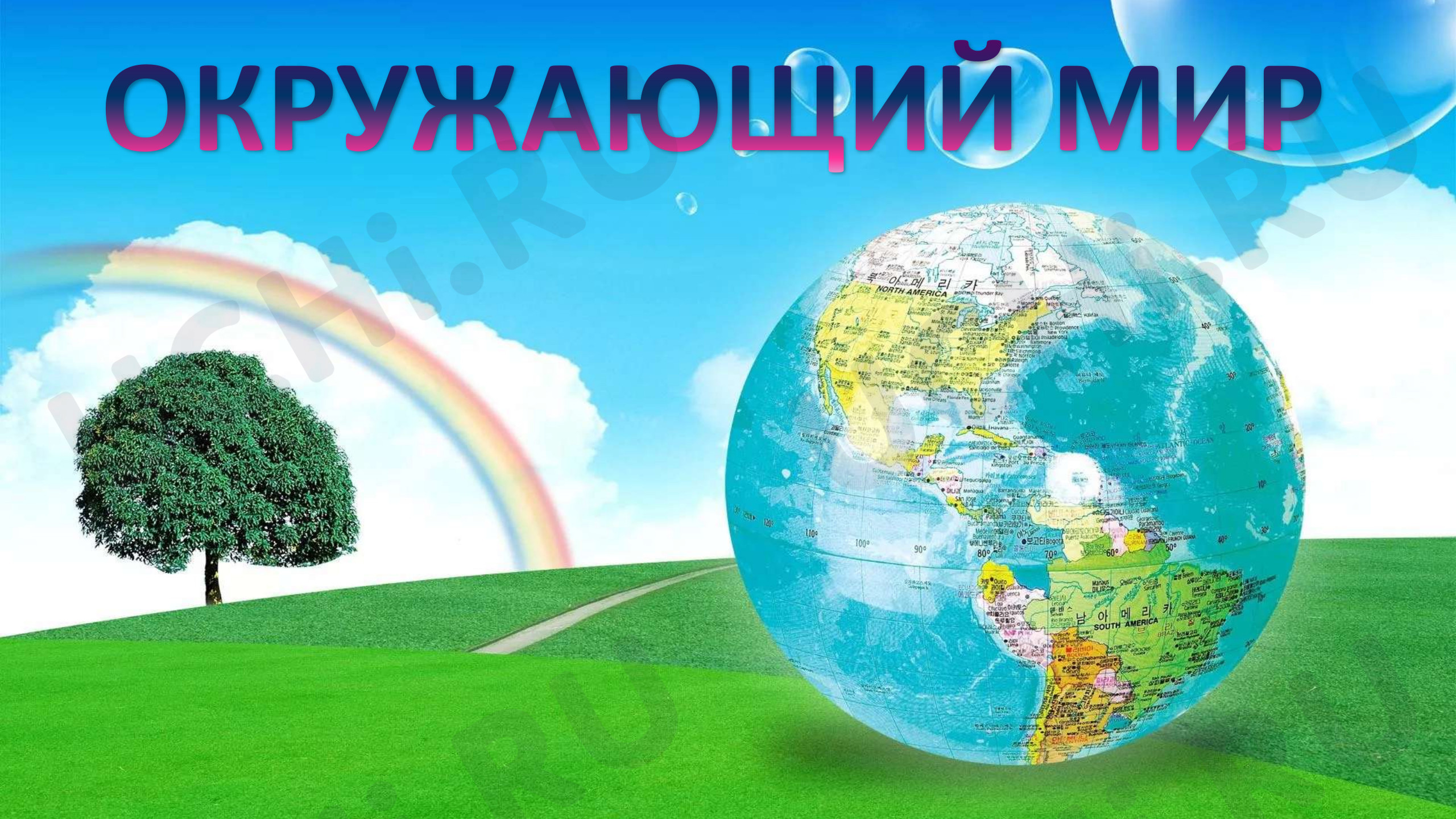 Предпросмотр материала Презентация к уроку окружающего мира. Культурные растения.