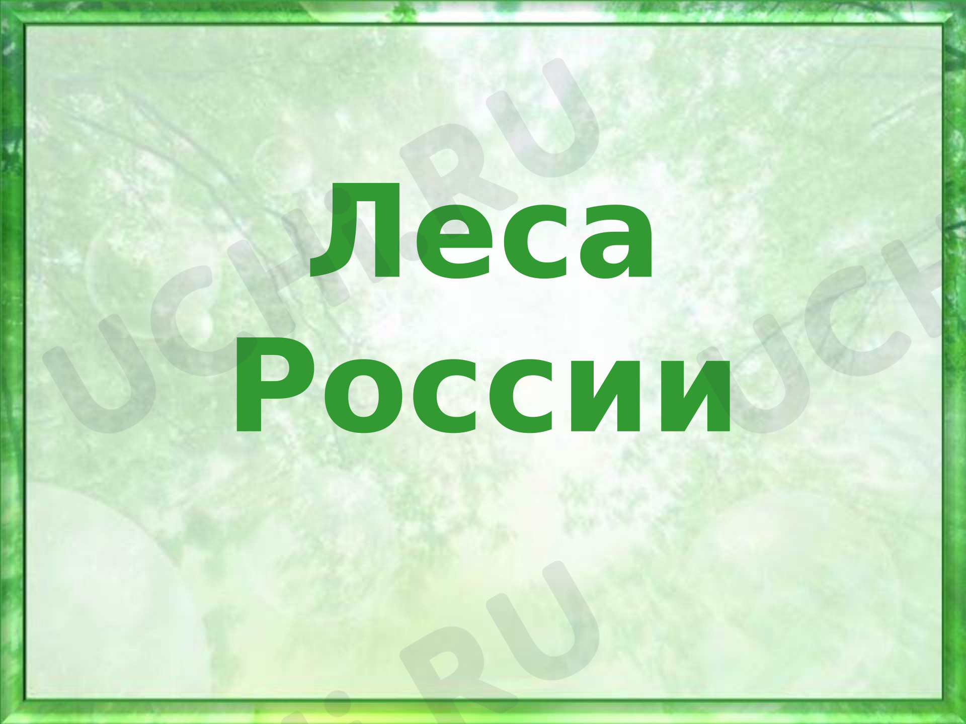 Предпросмотр материала Презентация по окружающему миру на тему: Леса России.