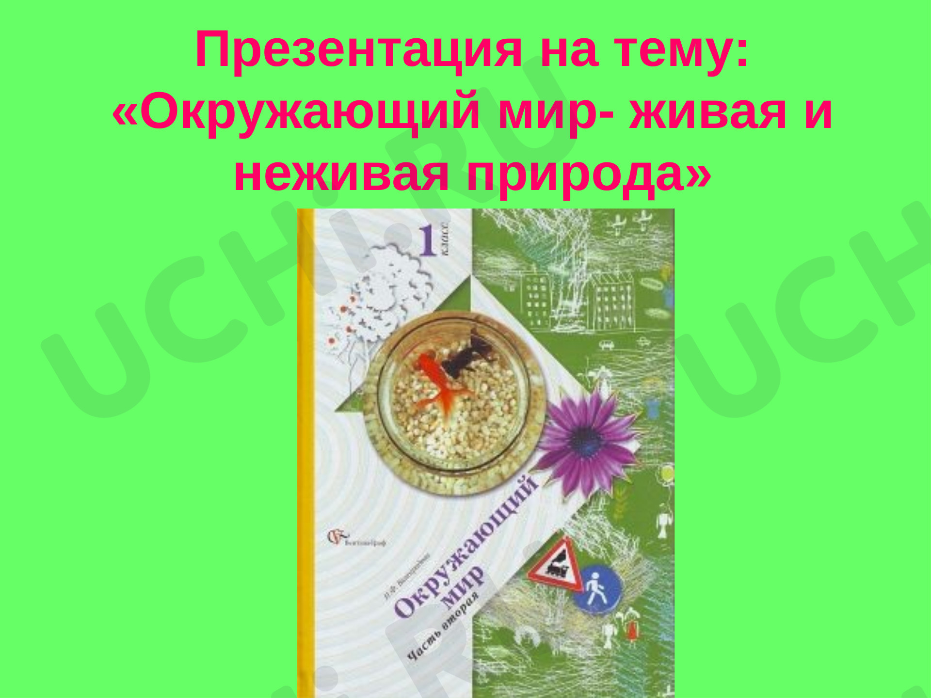 Предпросмотр материала Живая и неживая природа