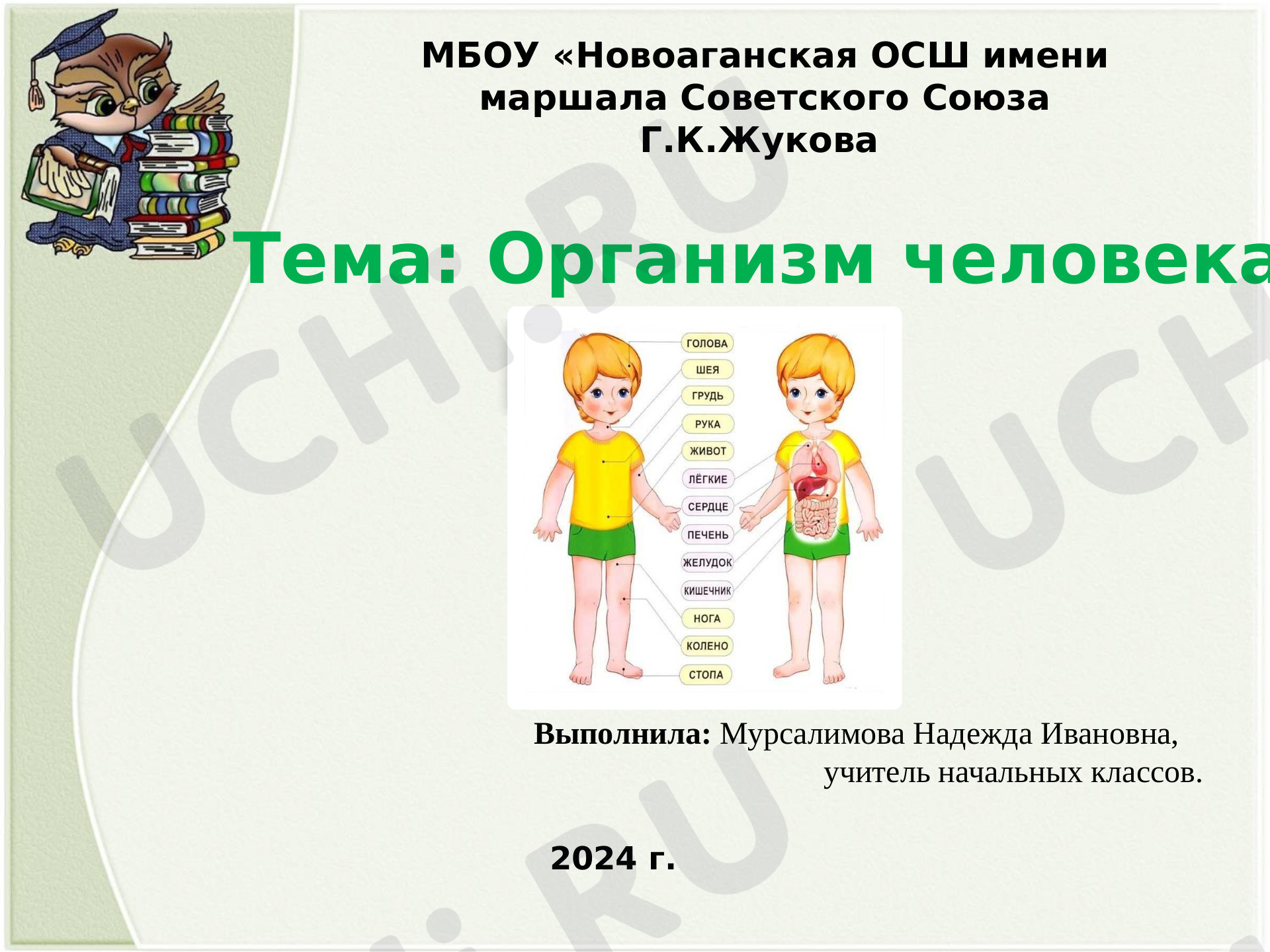 Предпросмотр материала Организм человека