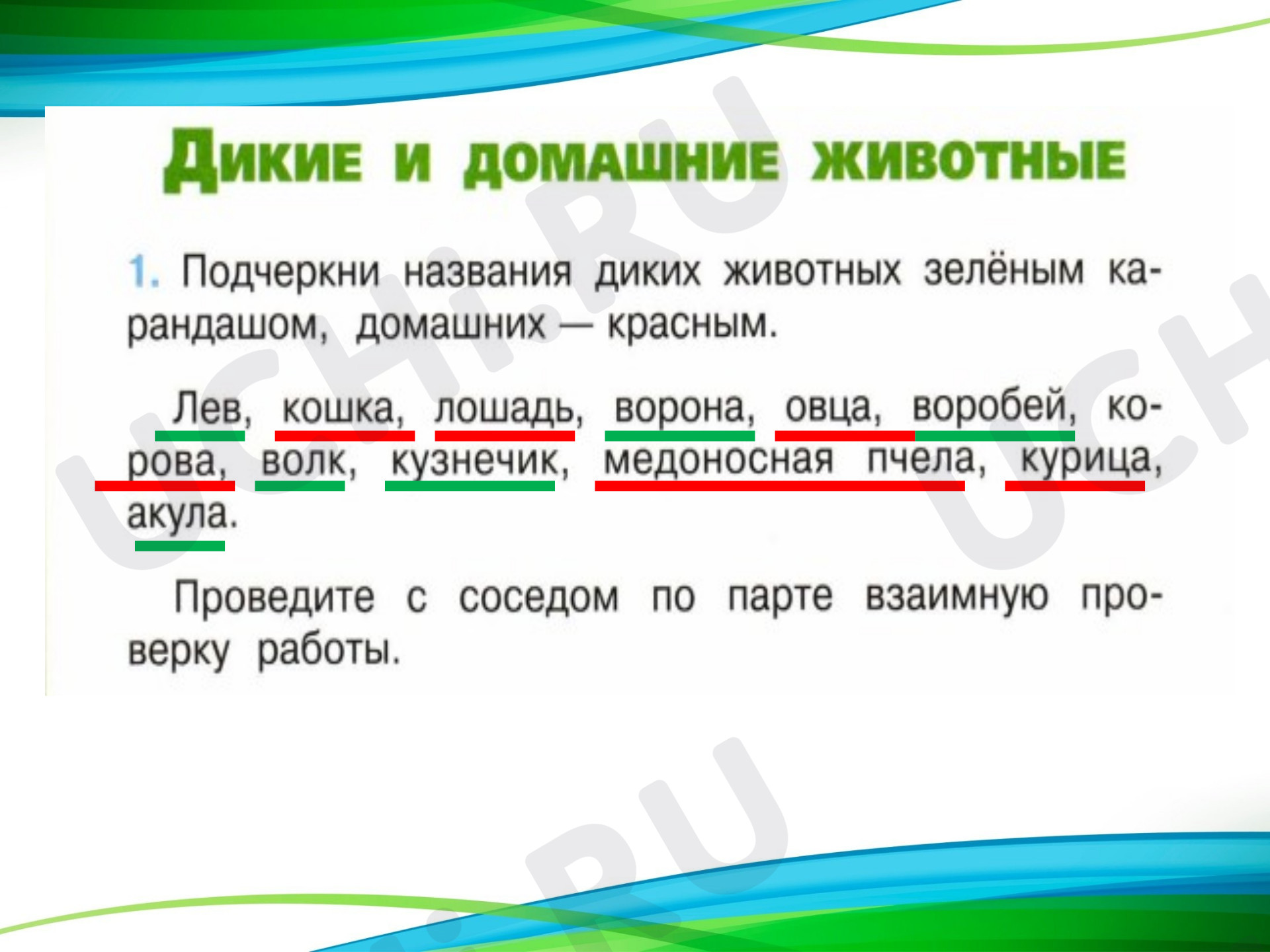 Животные, окружающий мир 2 класс | Подготовка к уроку от Учи.ру