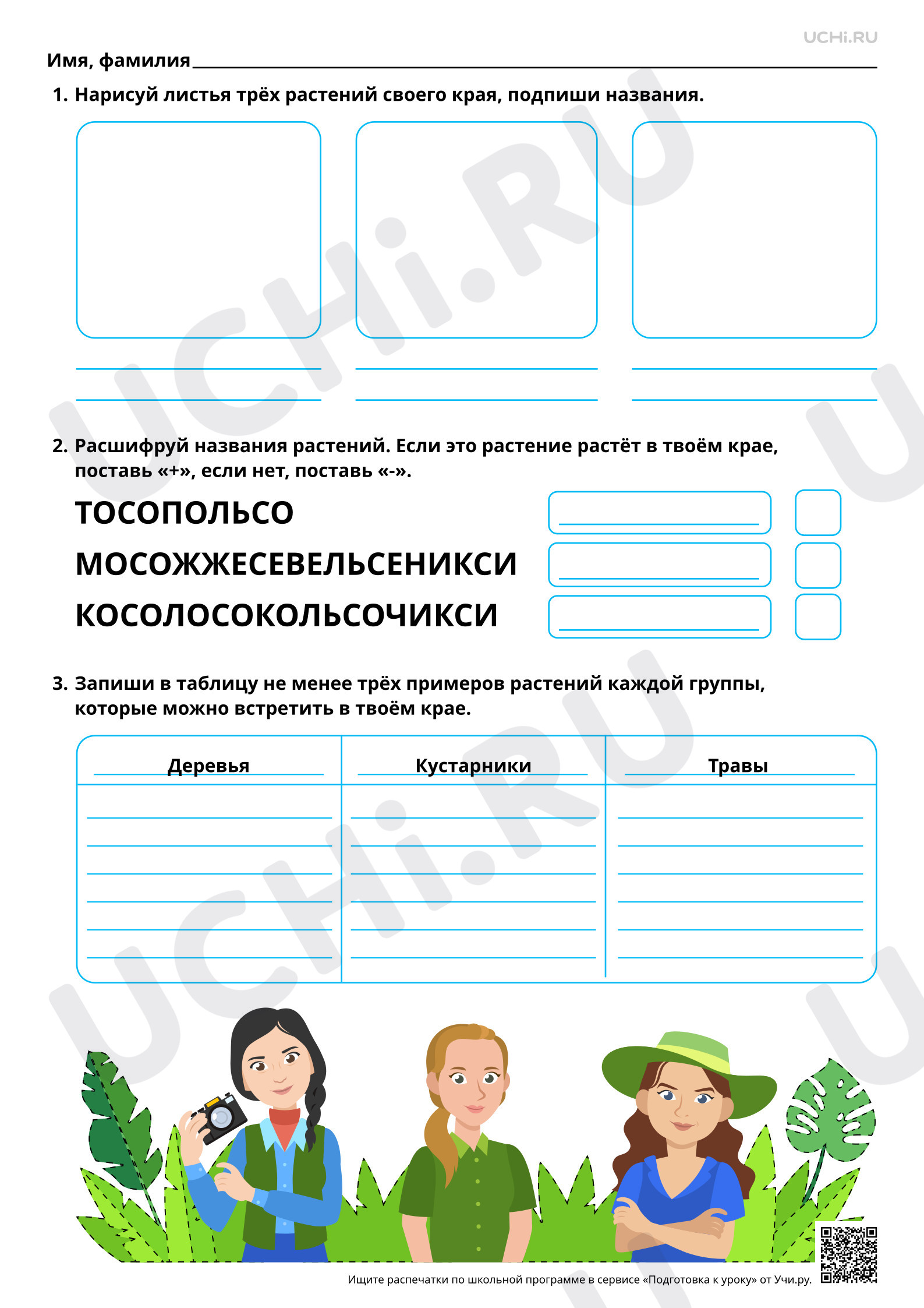 Предпросмотр материала Растения родного края. Базовый уровень