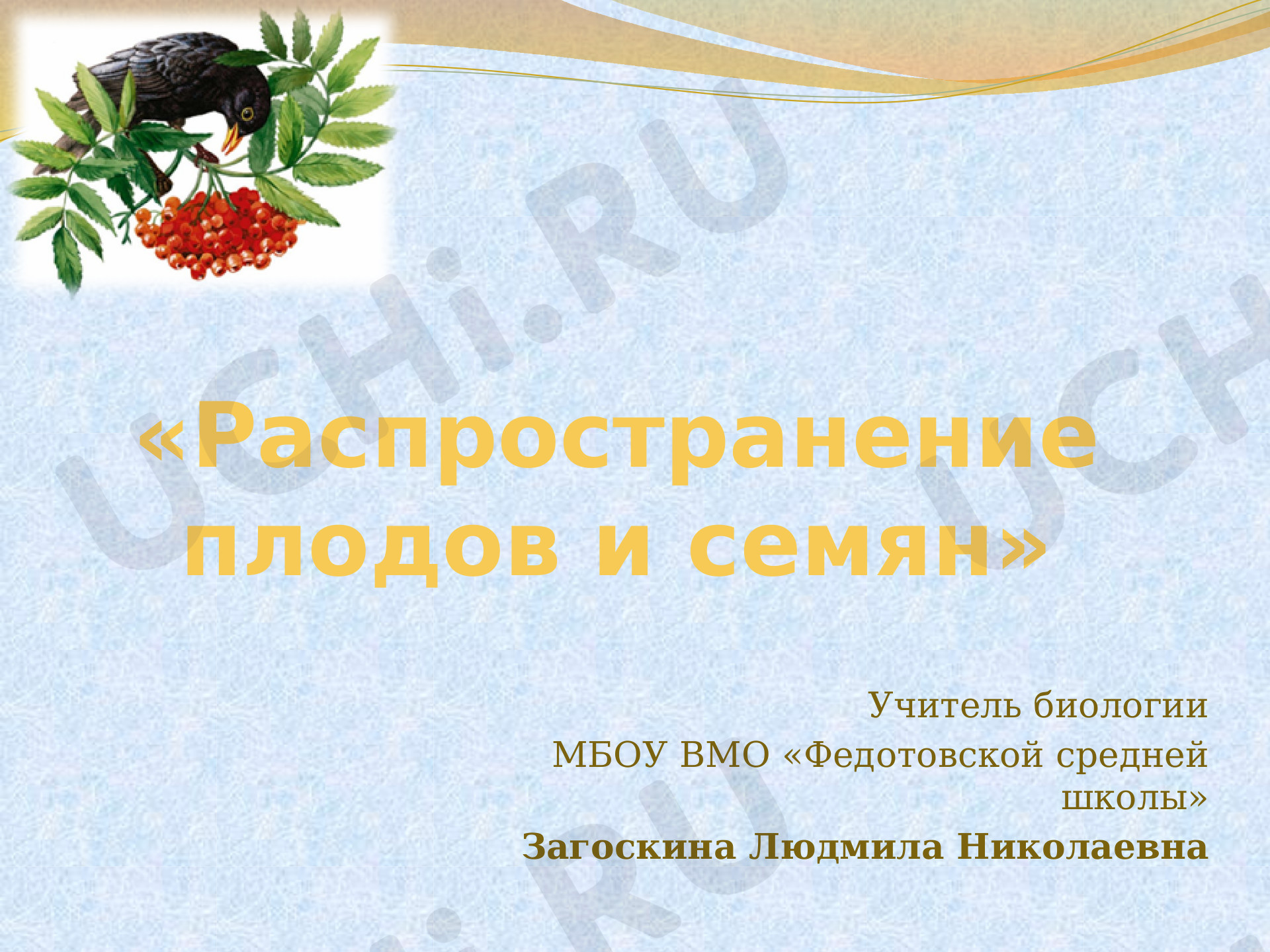Предпросмотр материала Распространение плодов и семян