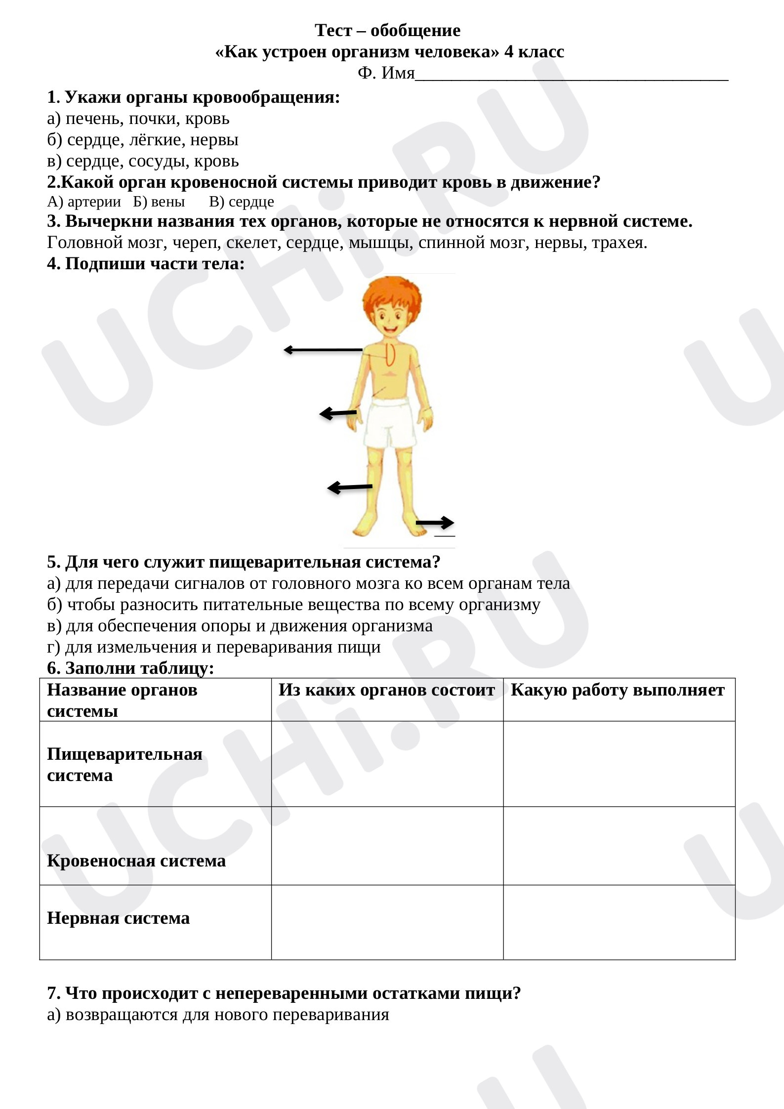 Предпросмотр материала Тест по теме "Системы человека"