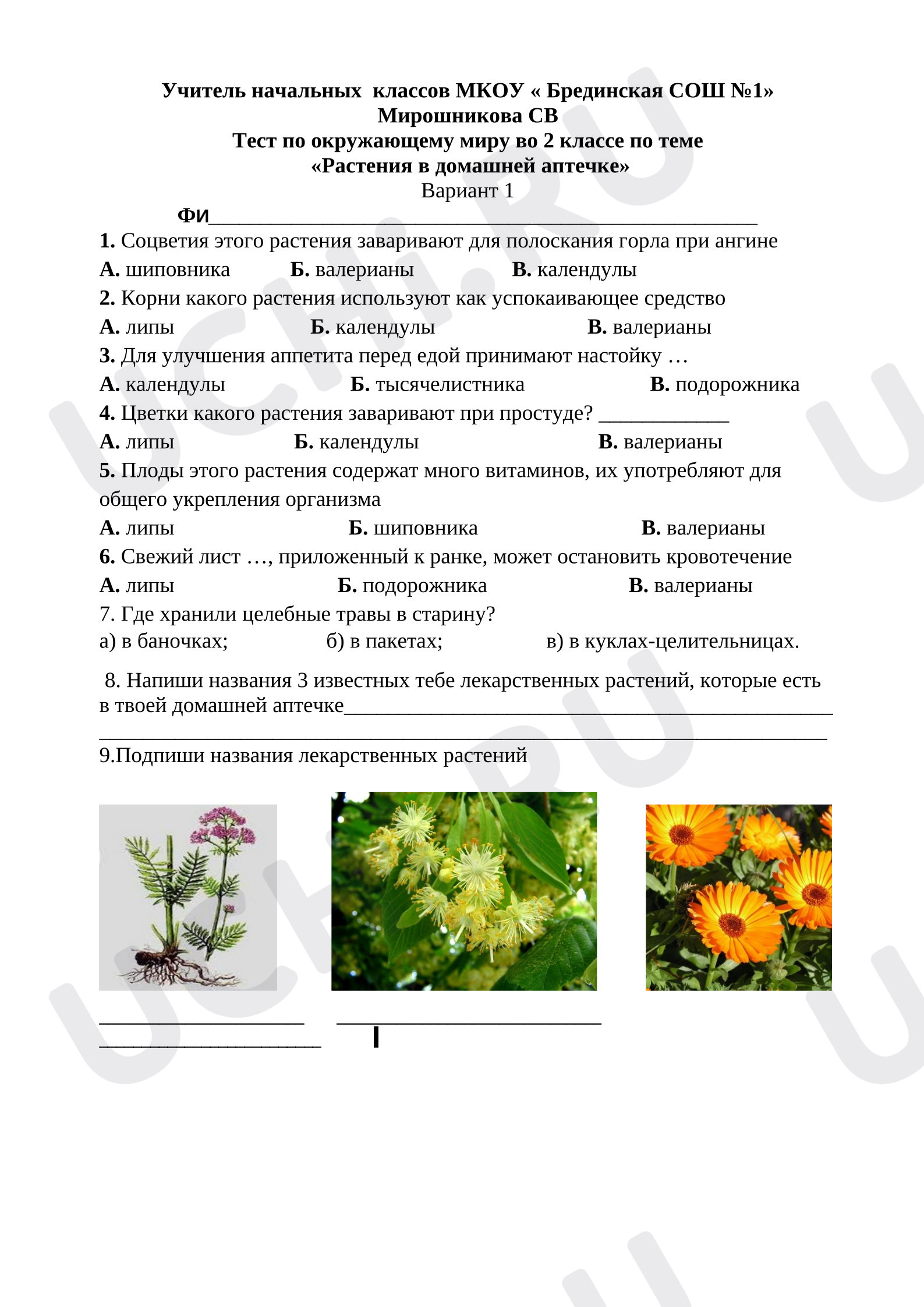 Предпросмотр материала Тест по окружающему миру 2 класс «Растения в домашней аптечке».