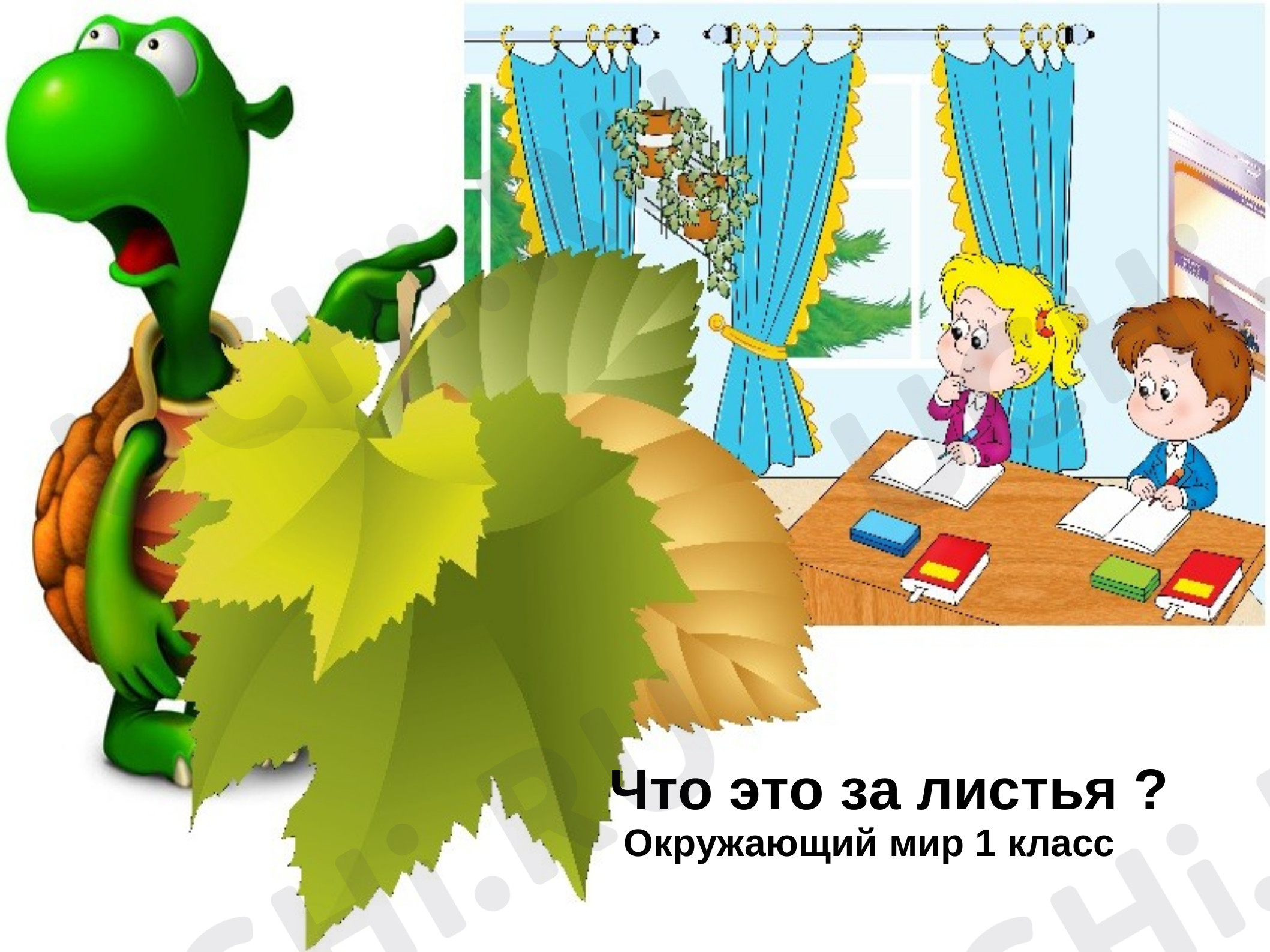 Предпросмотр материала Презентация к уроку окружающего мира. Что это за листья?