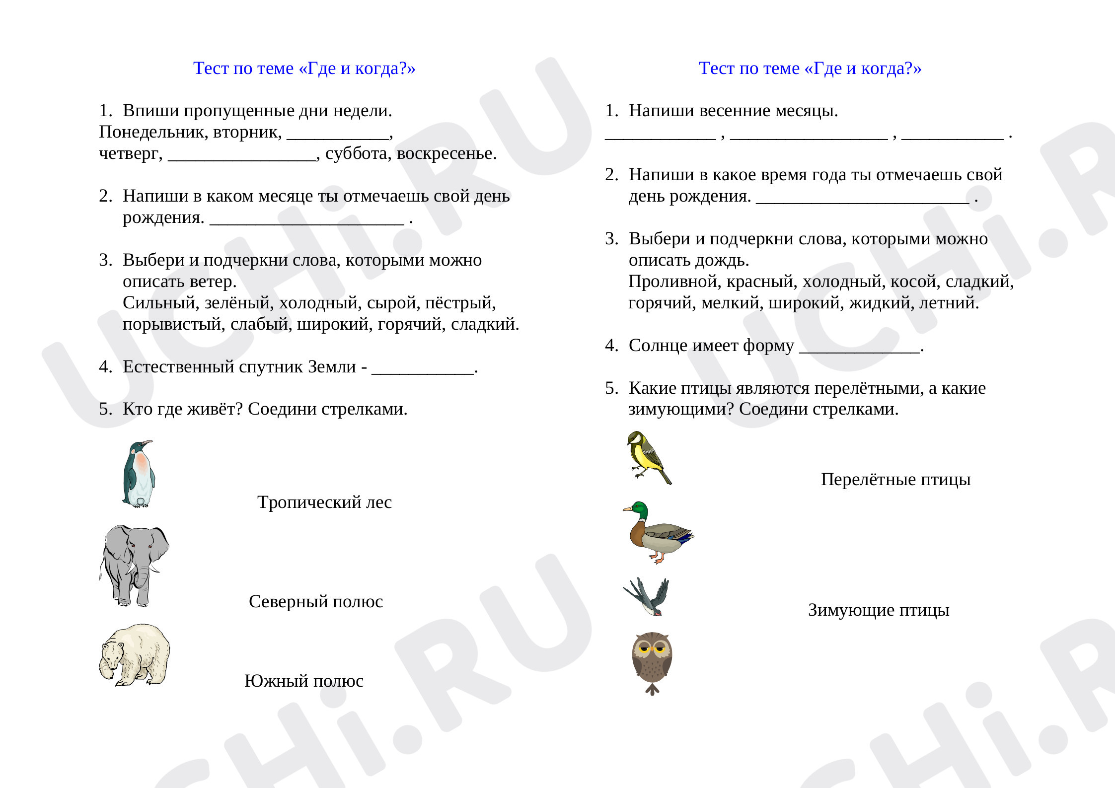 Предпросмотр материала Окружающий мир, Рабочий лист, Где? Когда?