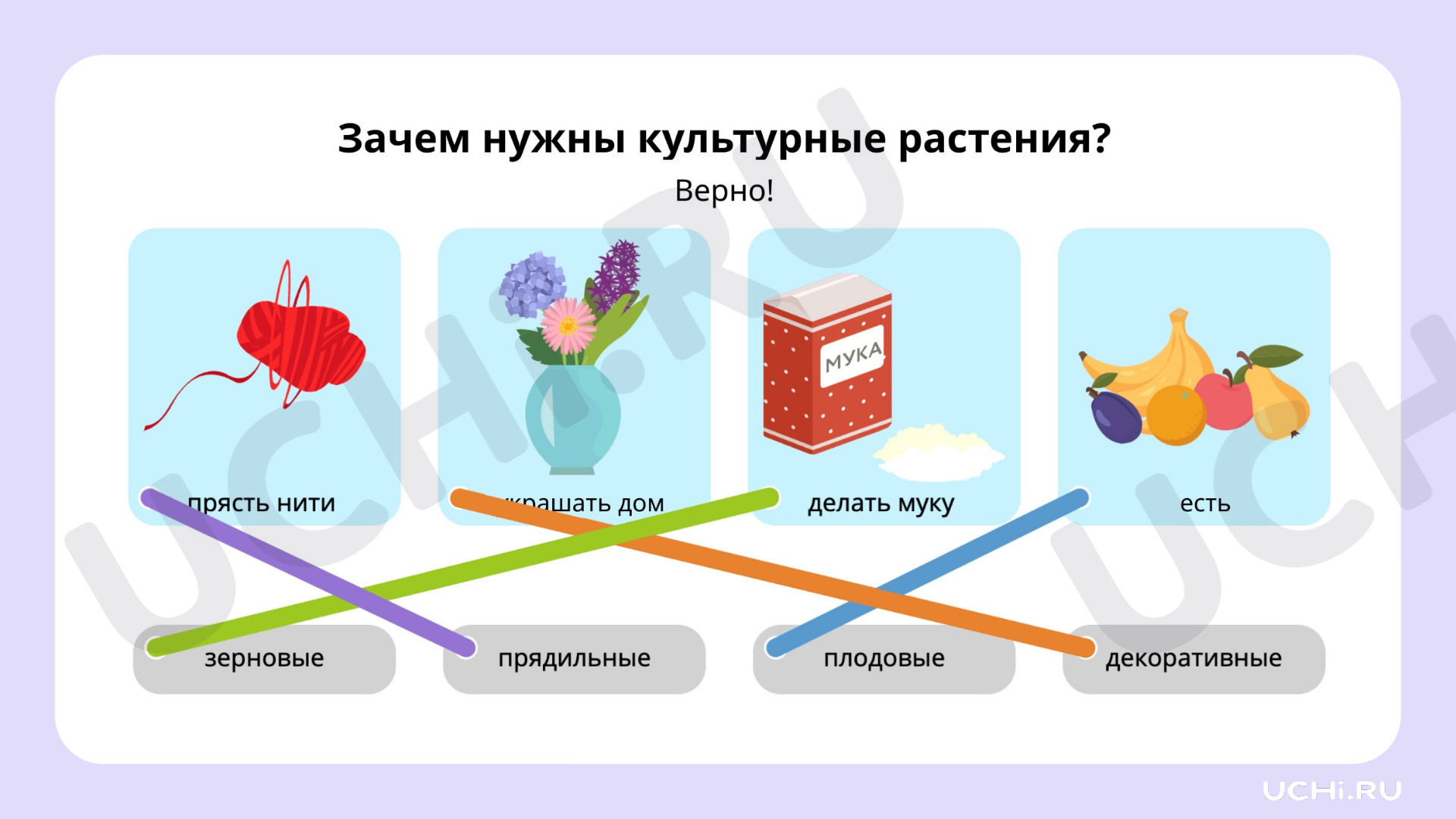 Ответы на рабочие листы по теме Дикорастущие и культурные растения вокруг  нас. Сходство и различия дикорастущих и культурных растений: Дикорастущие и культурные  растения вокруг нас. Сходство и различия дикорастущих и культурных растений  |