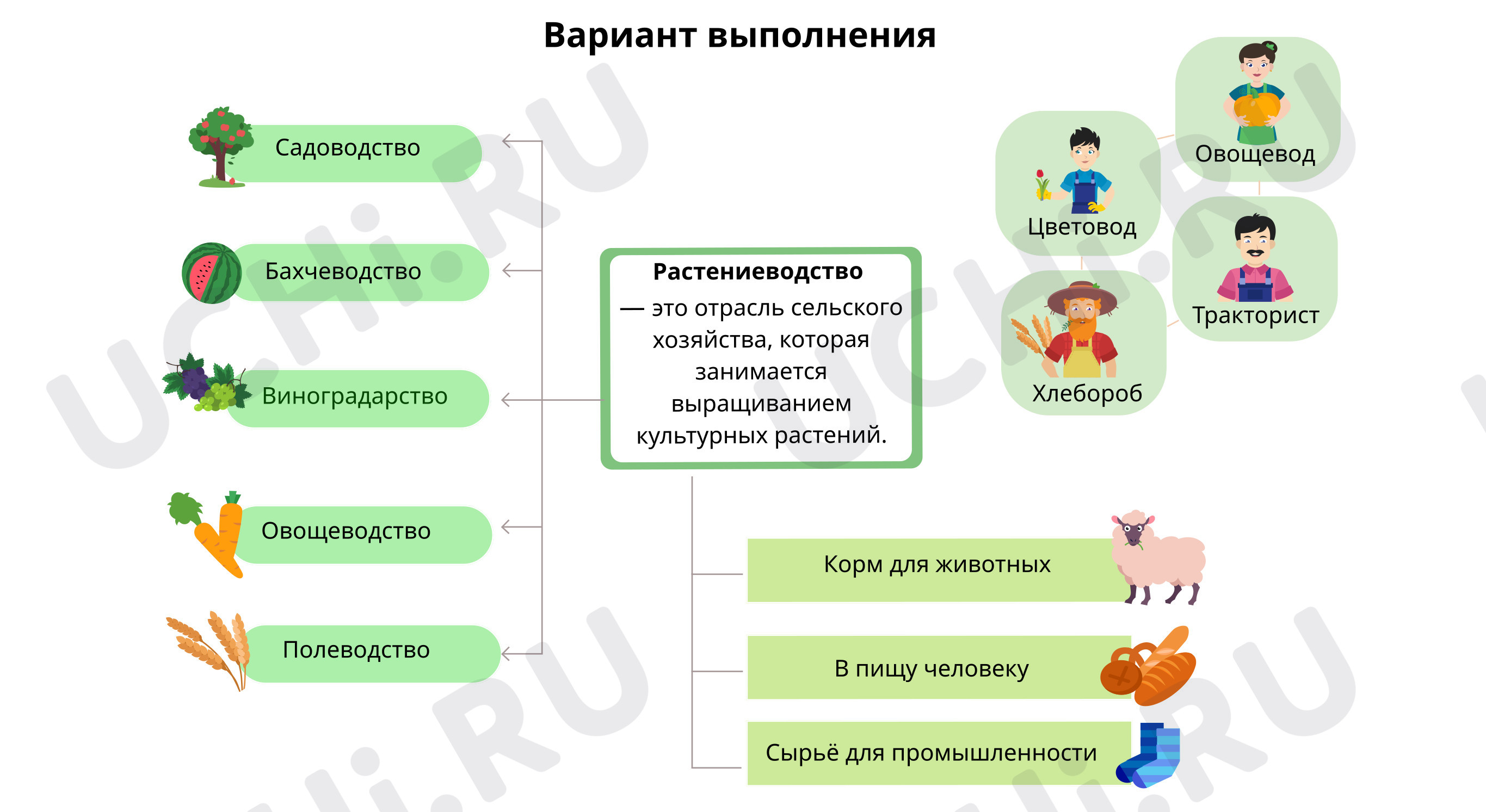 Предпросмотр материала Вариант выполнения интеллект-карты