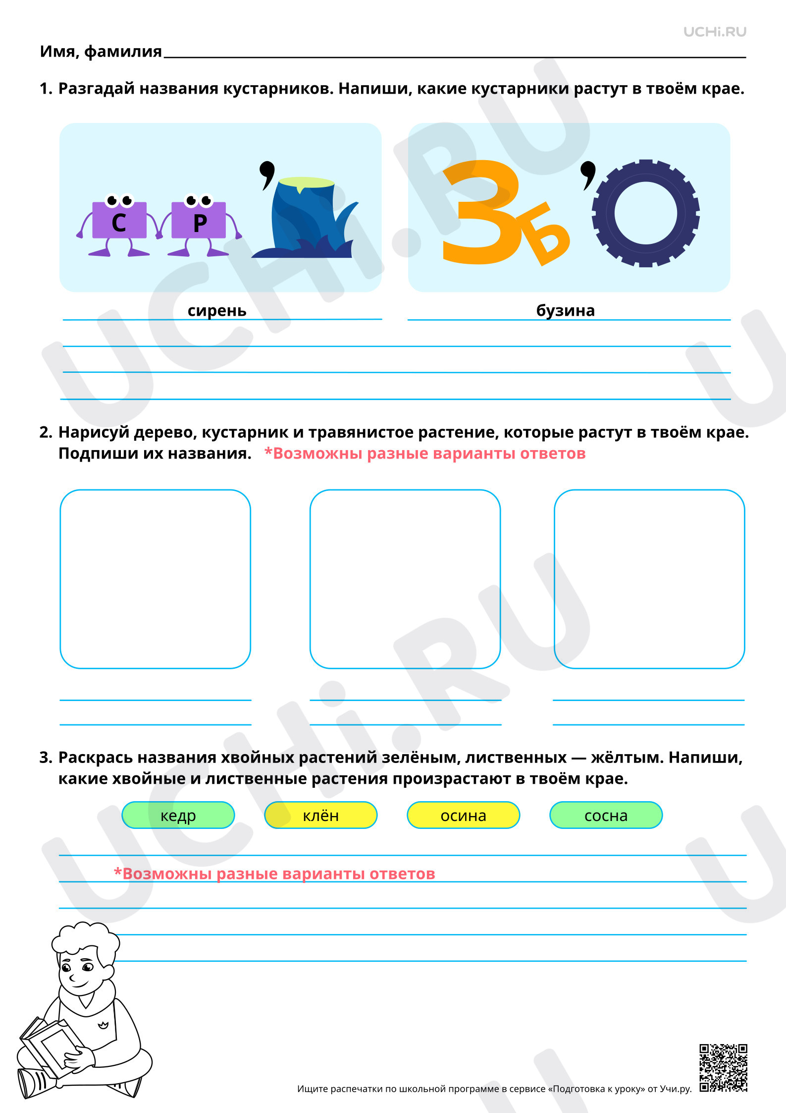 Предпросмотр материала Деревья, кустарники, травы родного края. Ответы