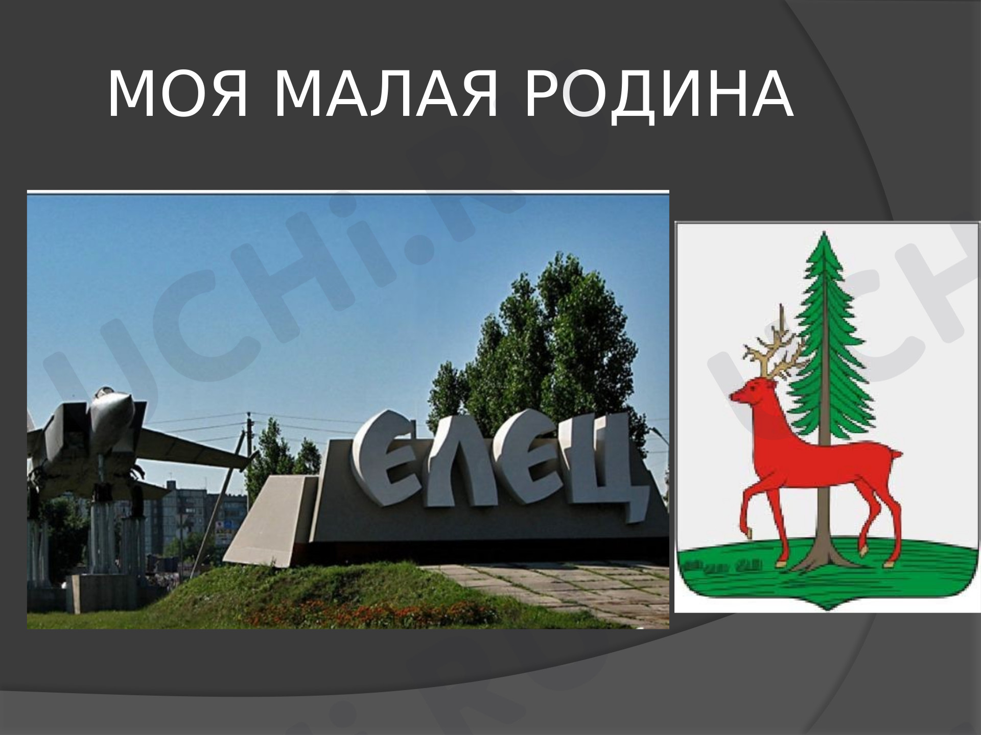 Предпросмотр материала Моя малая родина. Елецкое кружево